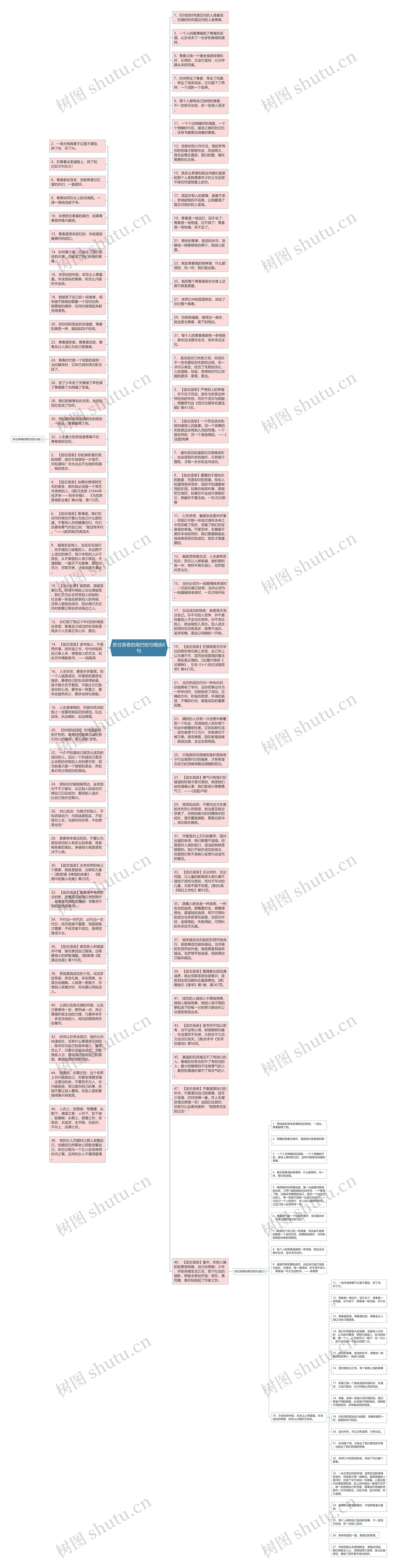 抓住青春的尾巴短句精选8句思维导图
