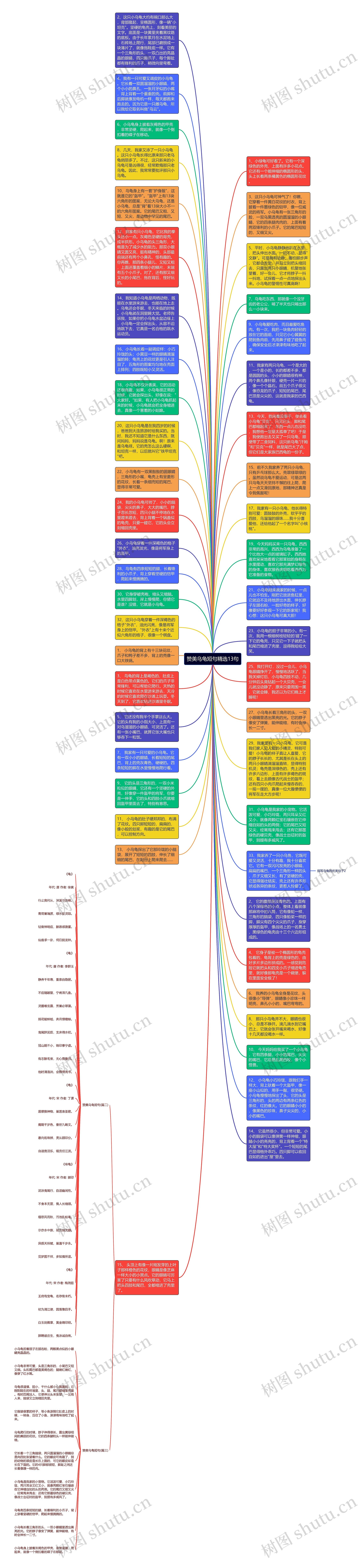 赞美乌龟短句精选13句思维导图