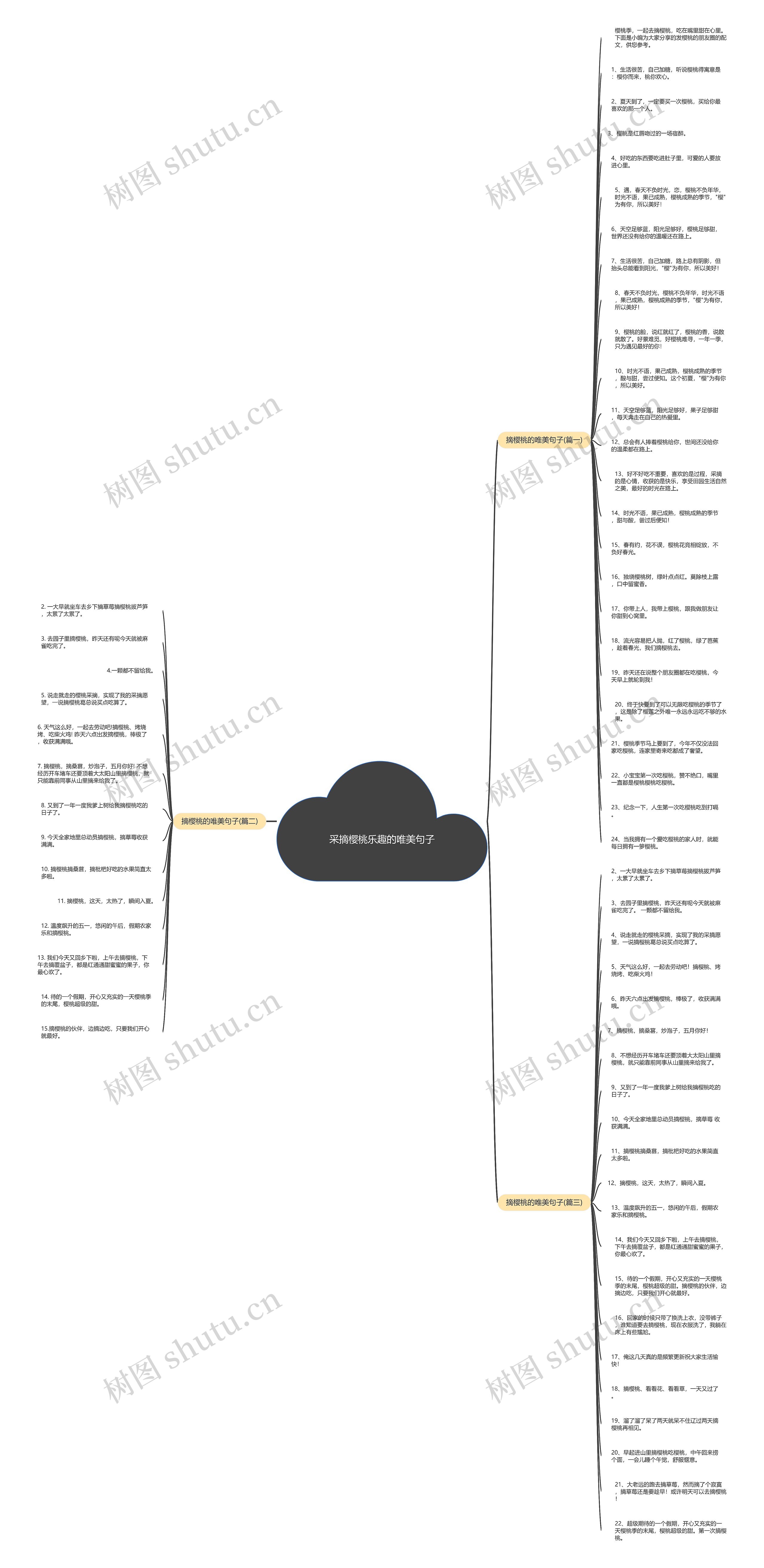 采摘樱桃乐趣的唯美句子思维导图