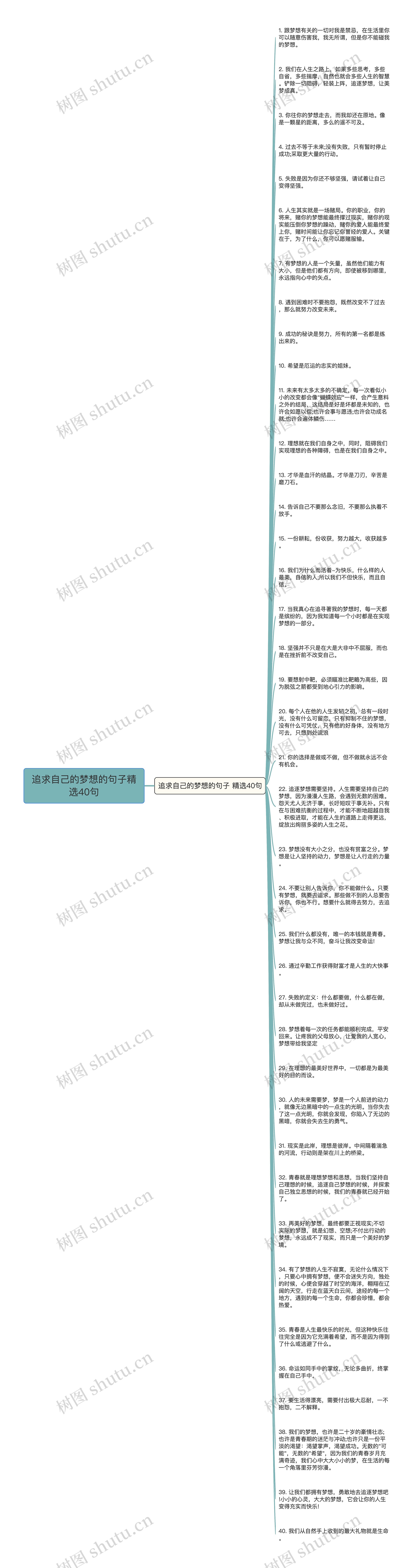 追求自己的梦想的句子精选40句思维导图