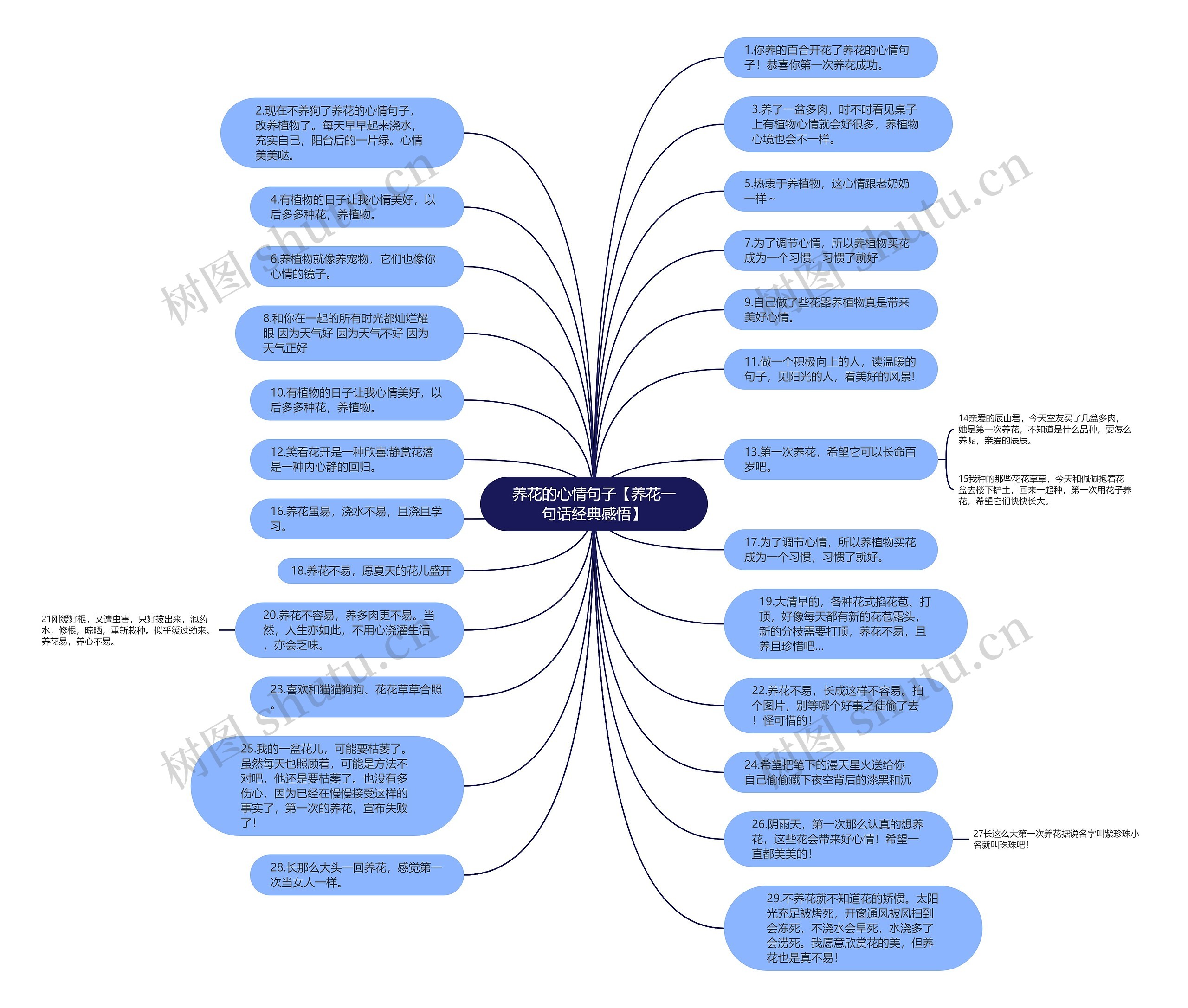 养花的心情句子【养花一句话经典感悟】思维导图