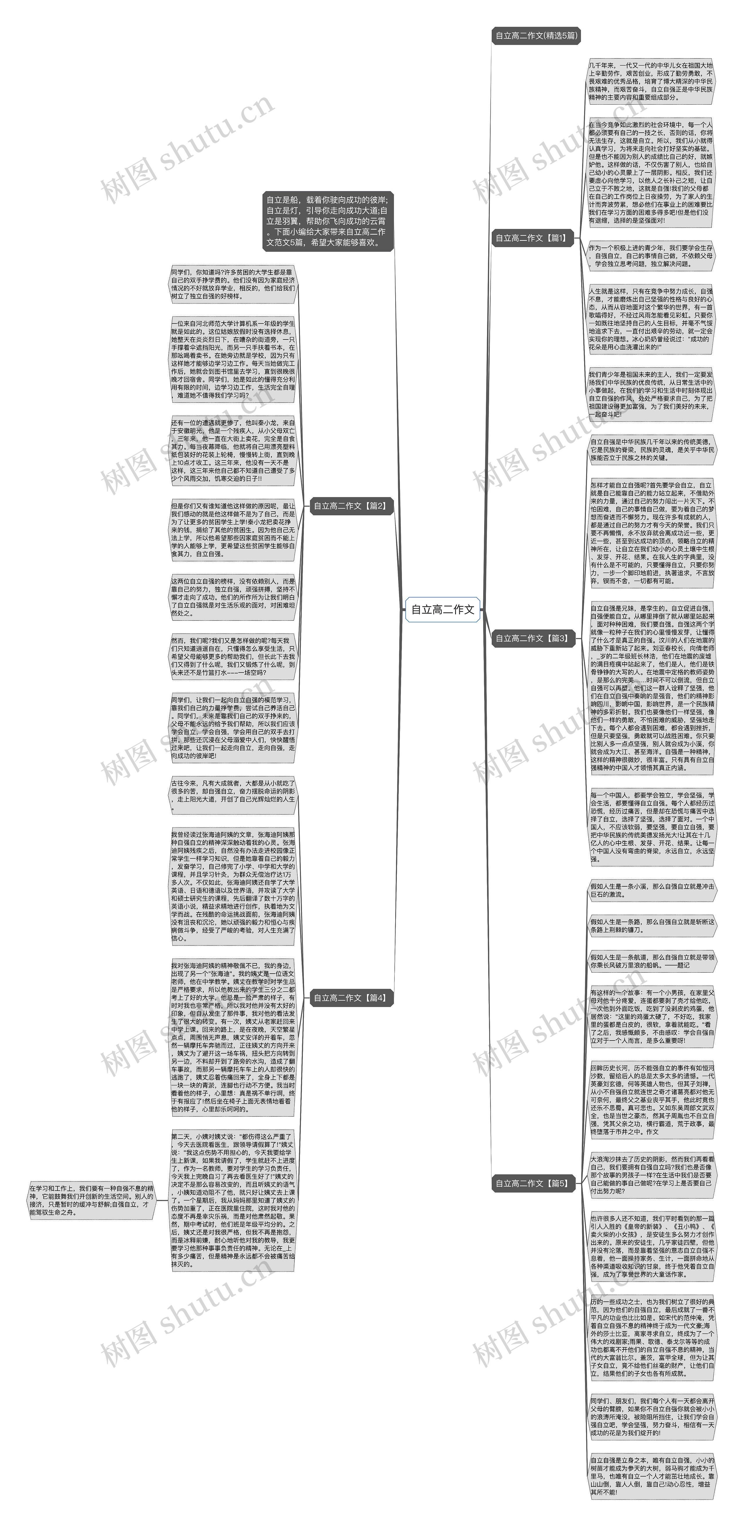 自立高二作文思维导图