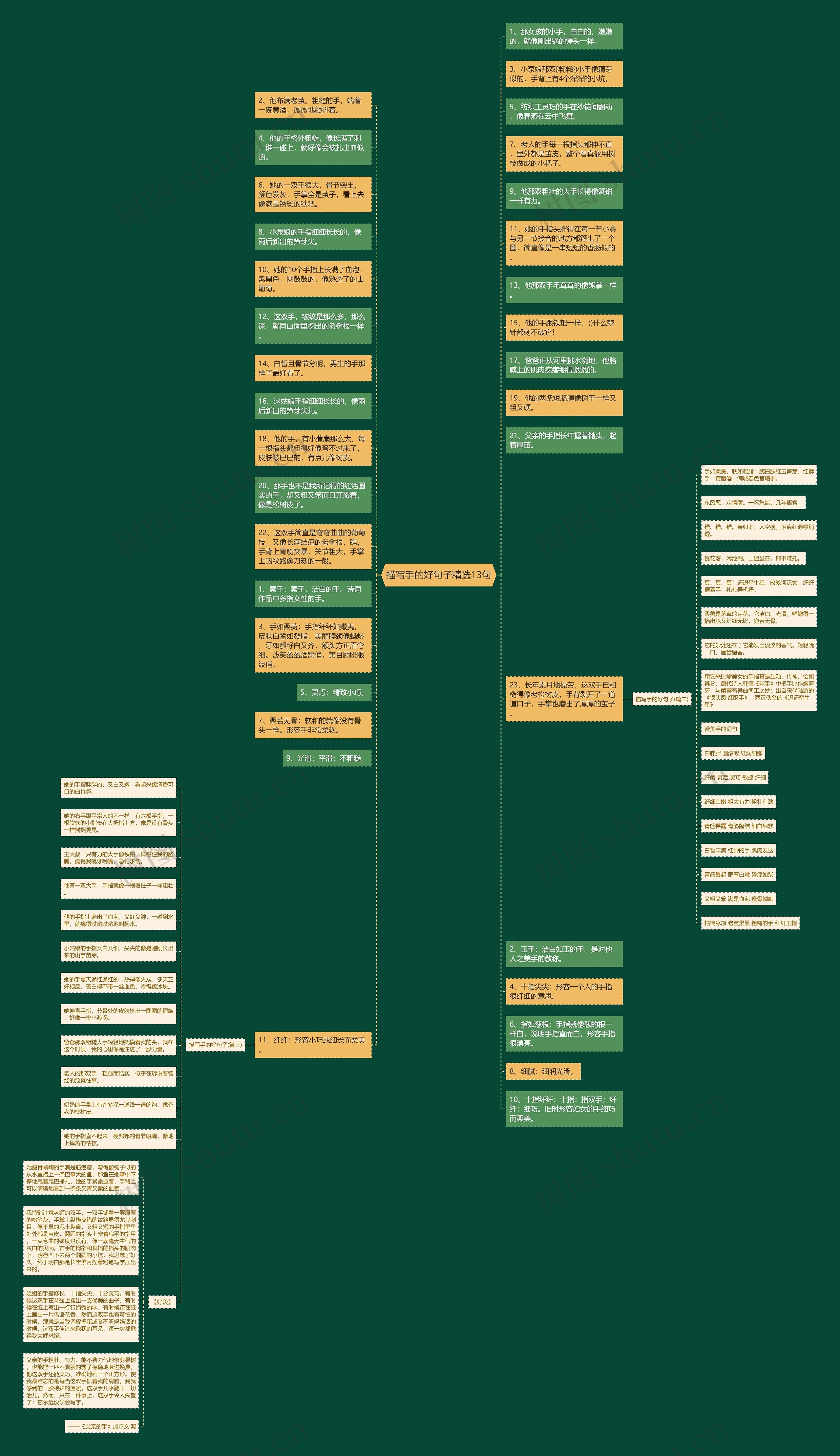 描写手的好句子精选13句