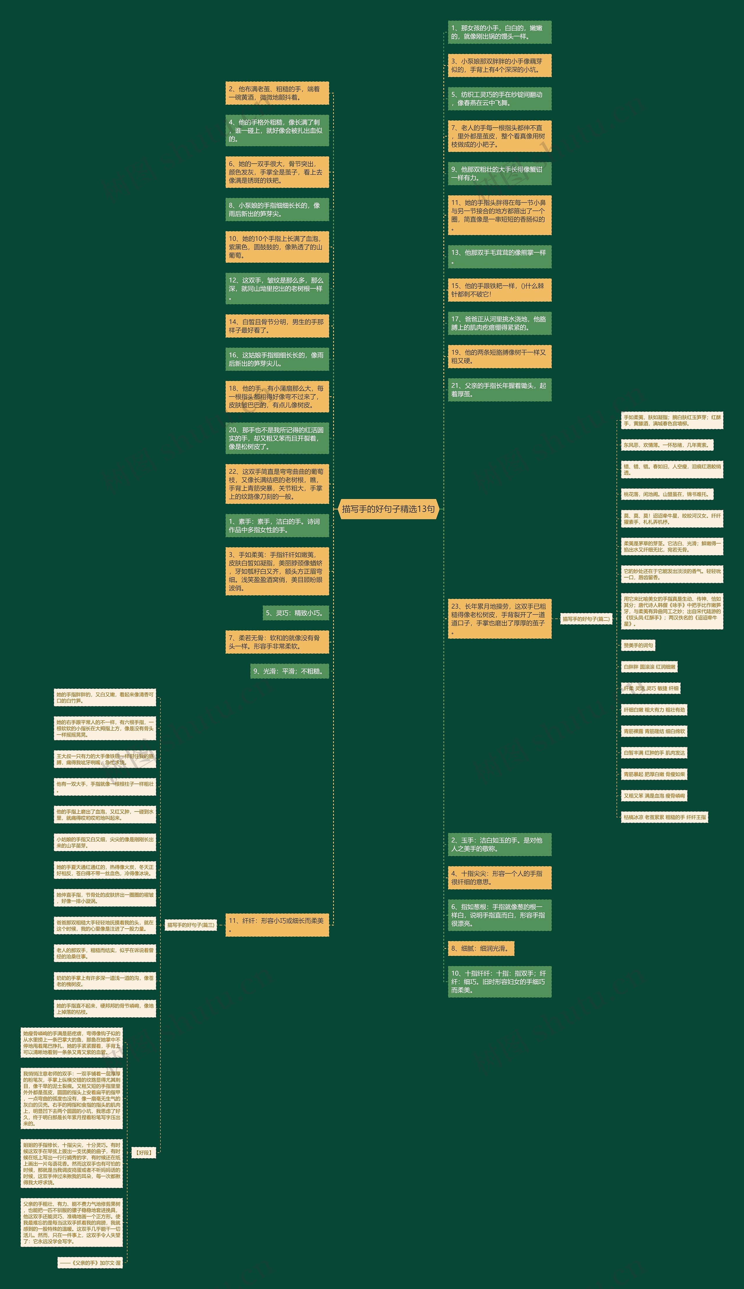 描写手的好句子精选13句思维导图高清图 描写手的好句子精选13句思维导图