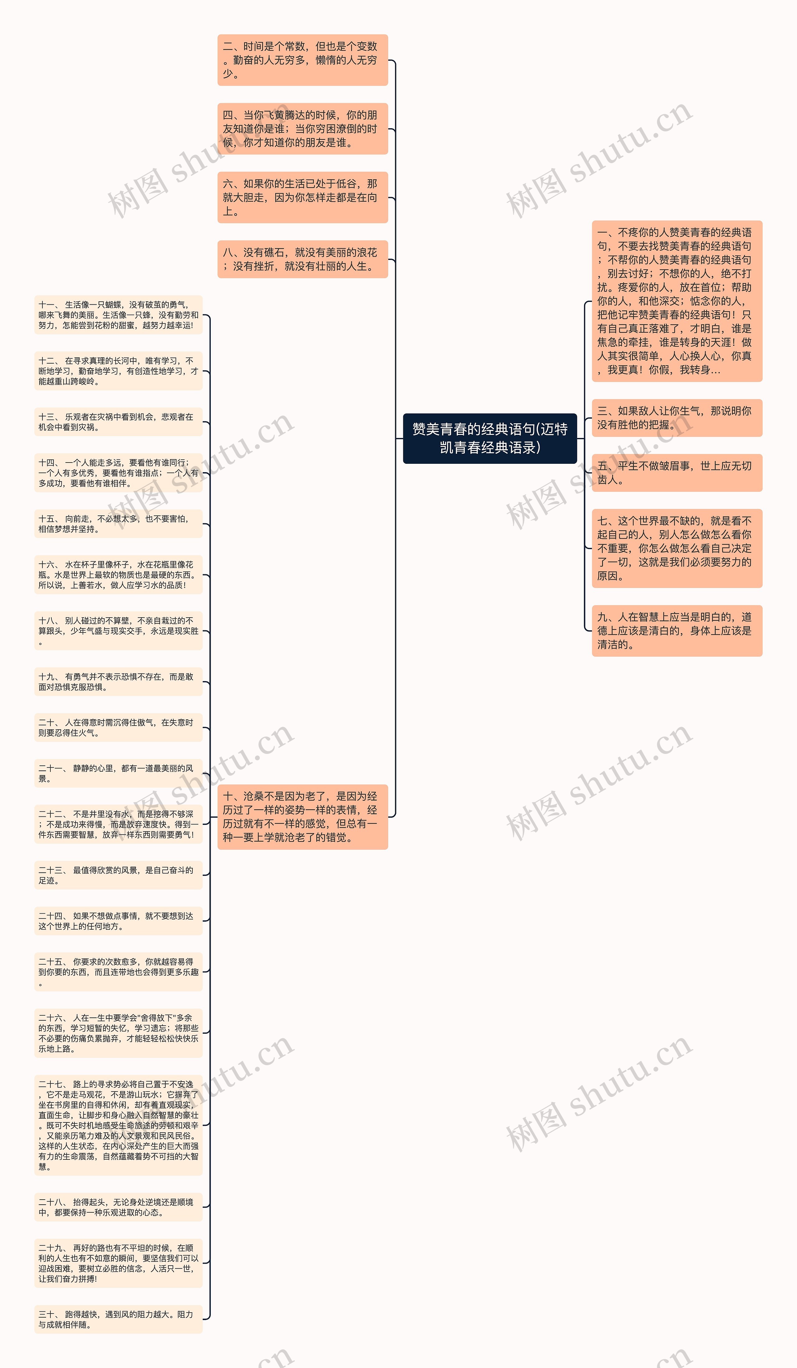 赞美青春的经典语句(迈特凯青春经典语录)思维导图