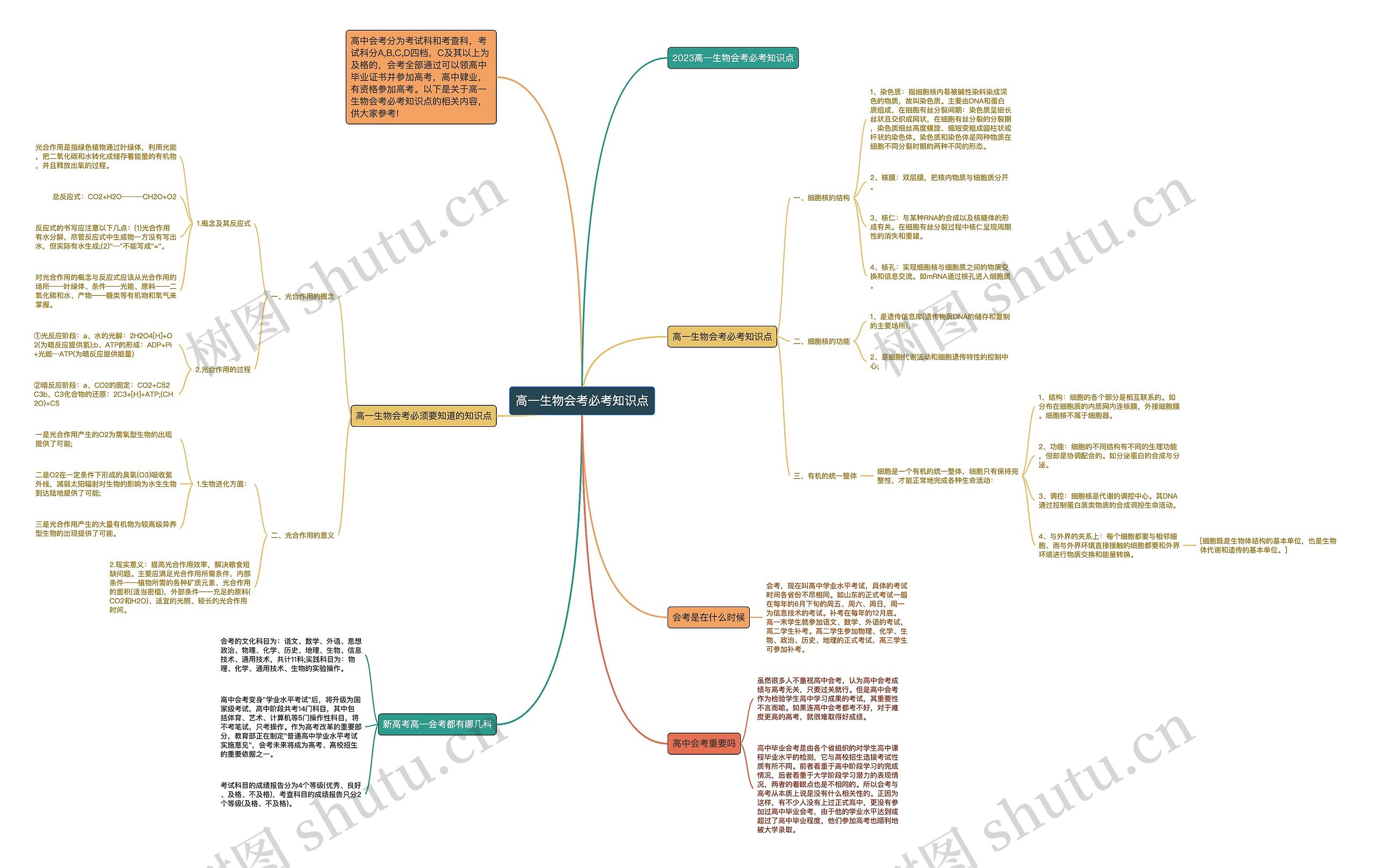 高一生物会考必考知识点思维导图