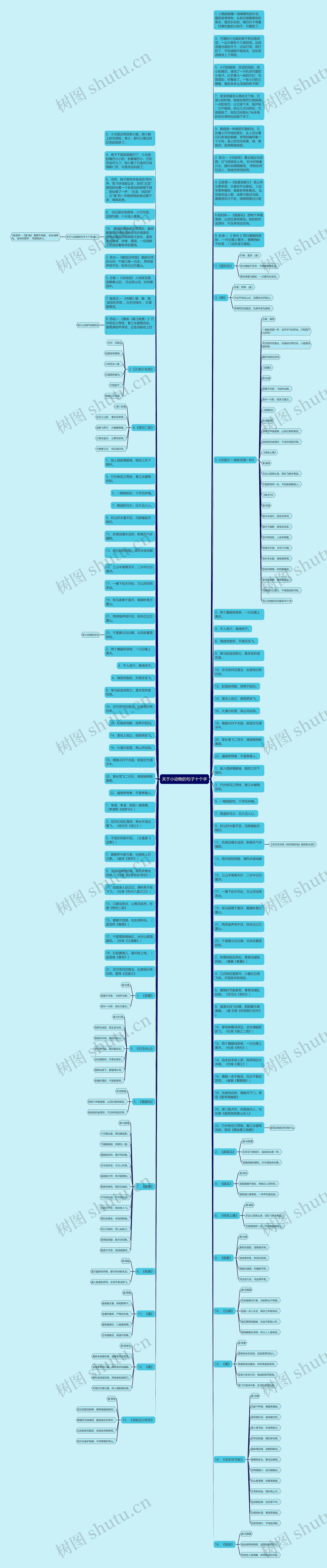 关于小动物的句子十个字思维导图高清图 关于小动物的句子十个字思维导图
