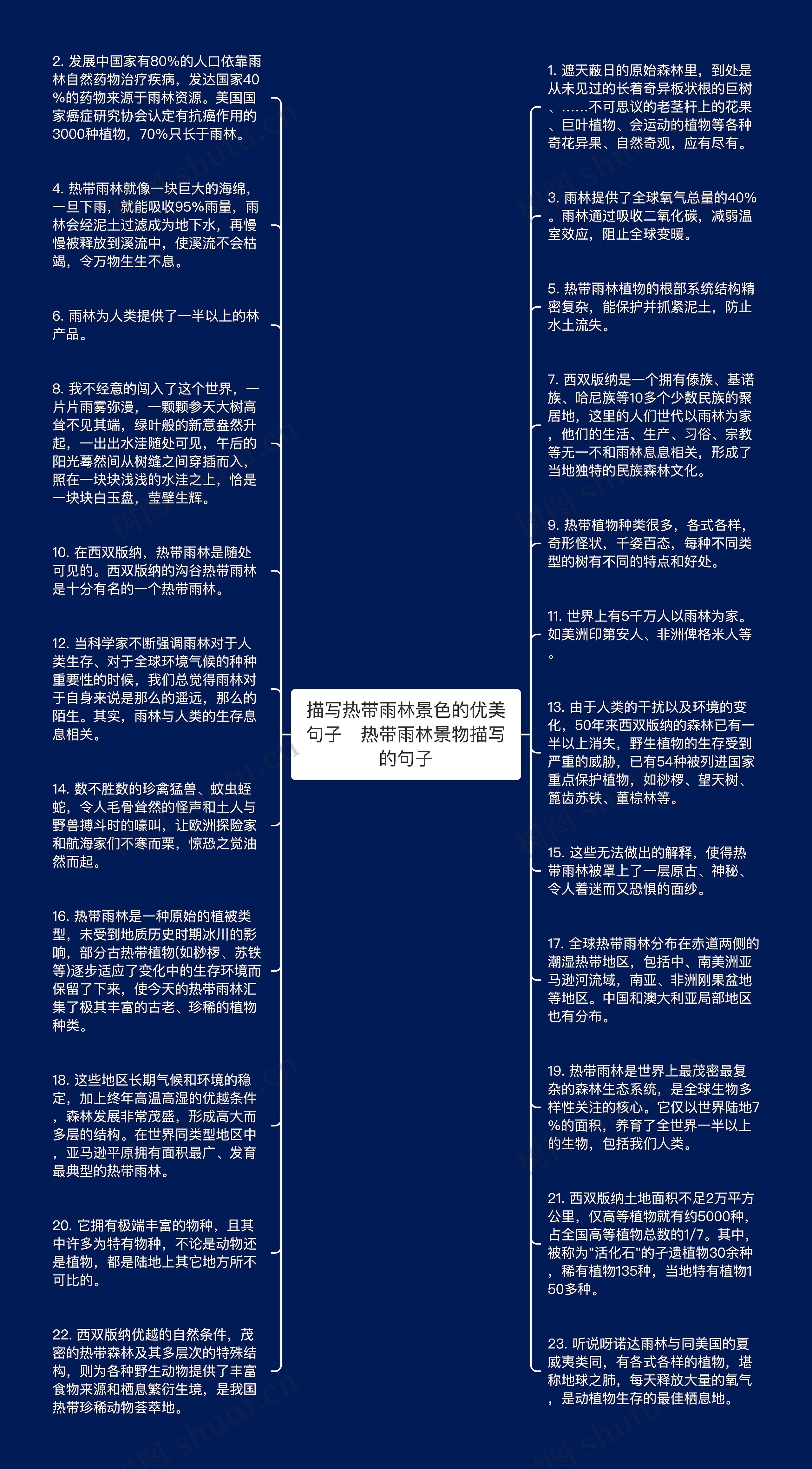 描写热带雨林景色的优美句子   热带雨林景物描写的句子