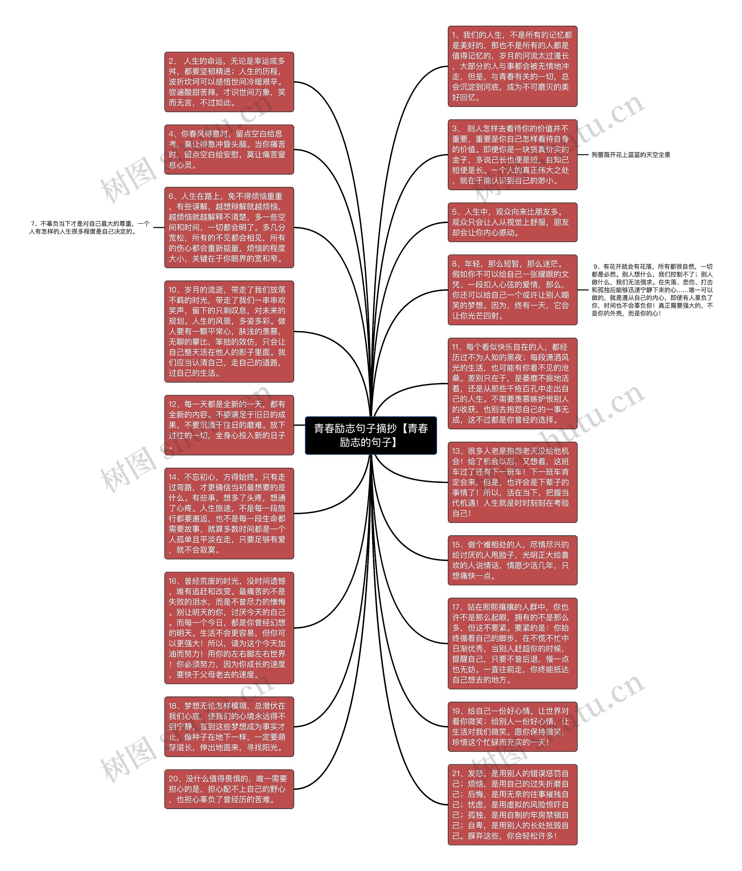青春励志句子摘抄【青春励志的句子】思维导图
