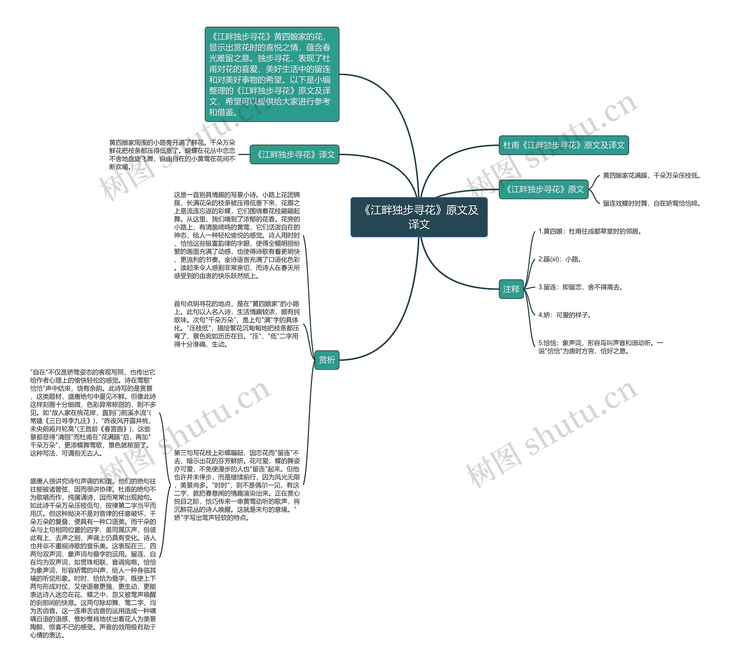 《江畔独步寻花》原文及译文思维导图