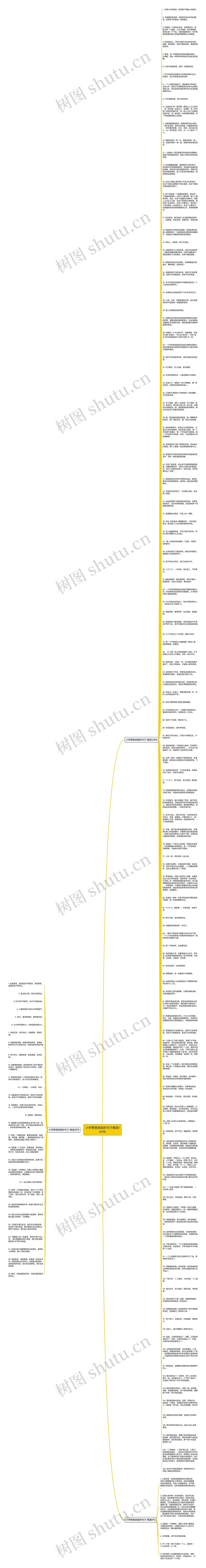 小学赞美班级的句子精选164句思维导图