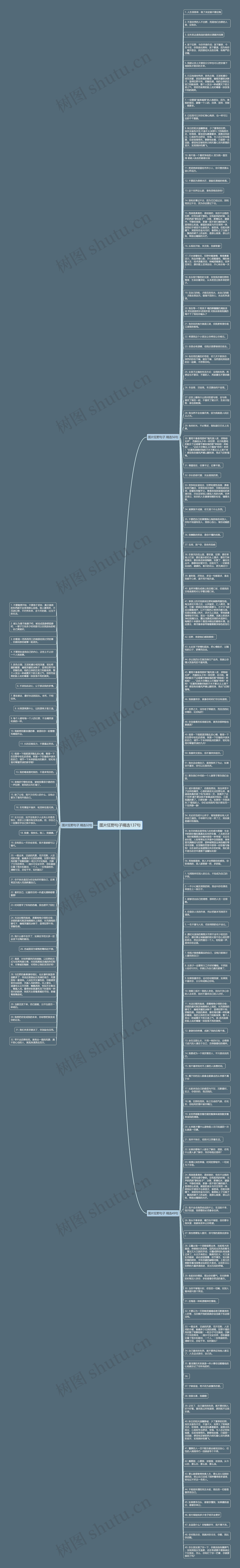 图片狂野句子精选137句思维导图