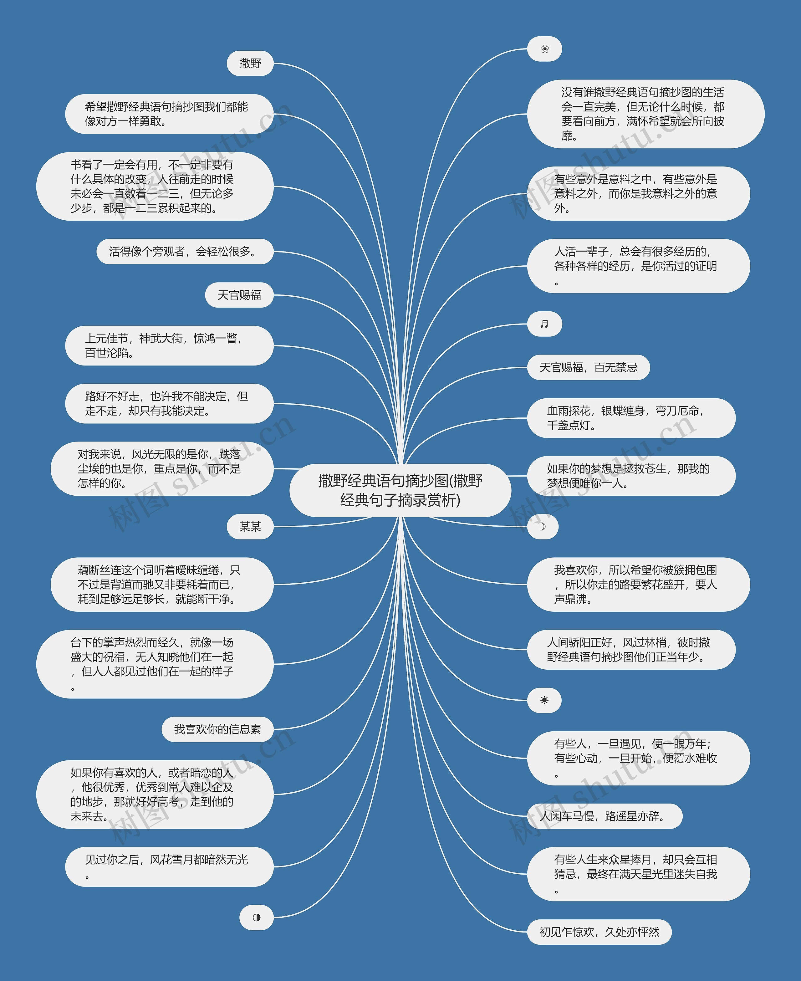 撒野经典语句摘抄图(撒野经典句子摘录赏析)思维导图