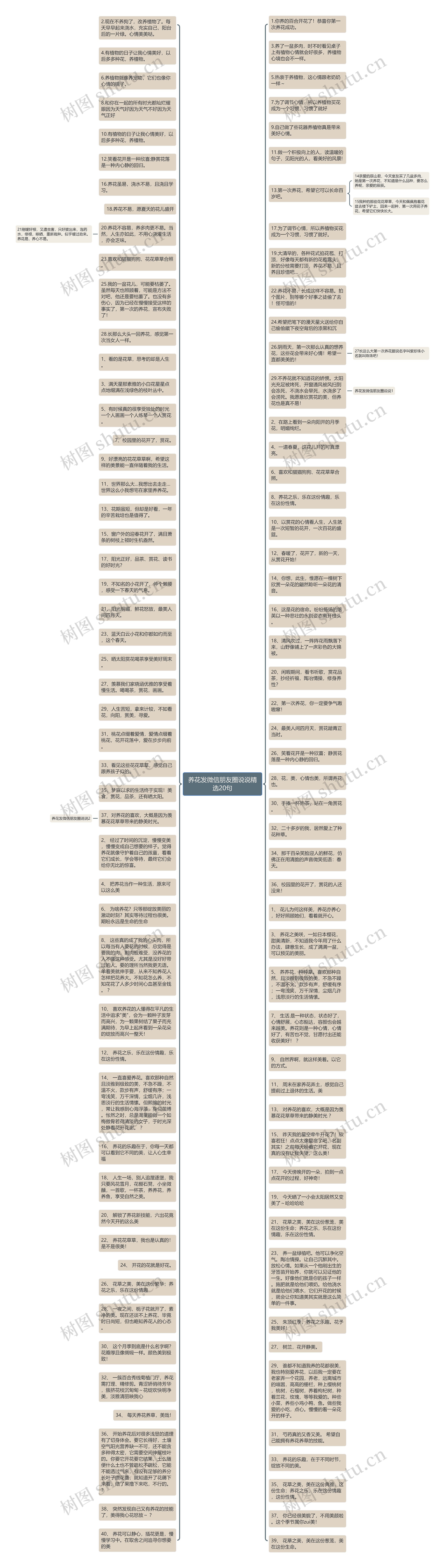 养花发微信朋友圈说说精选20句思维导图