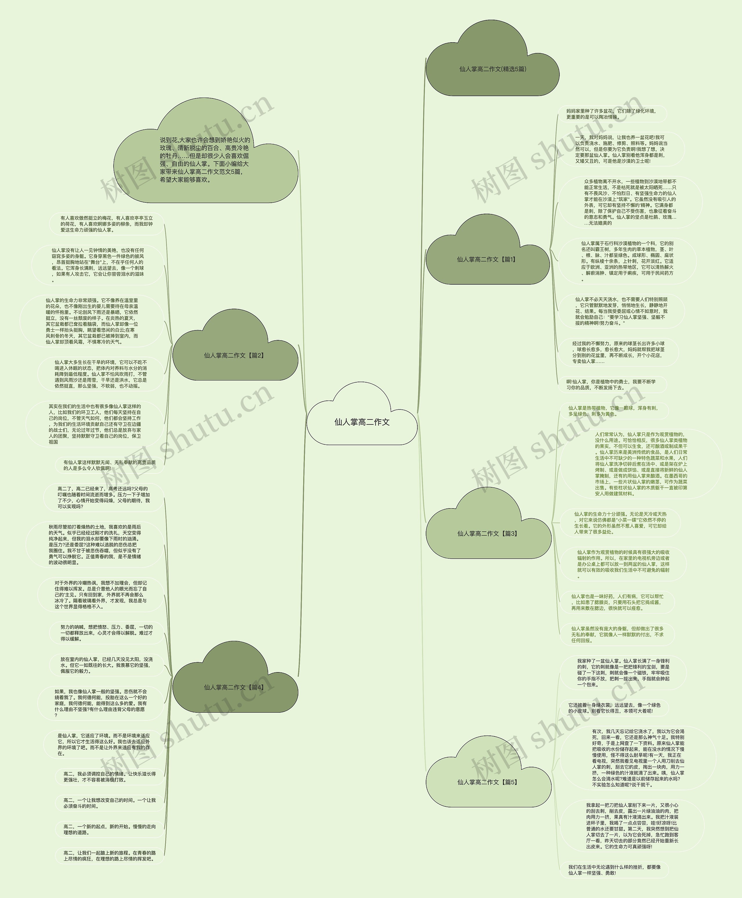 仙人掌高二作文思维导图