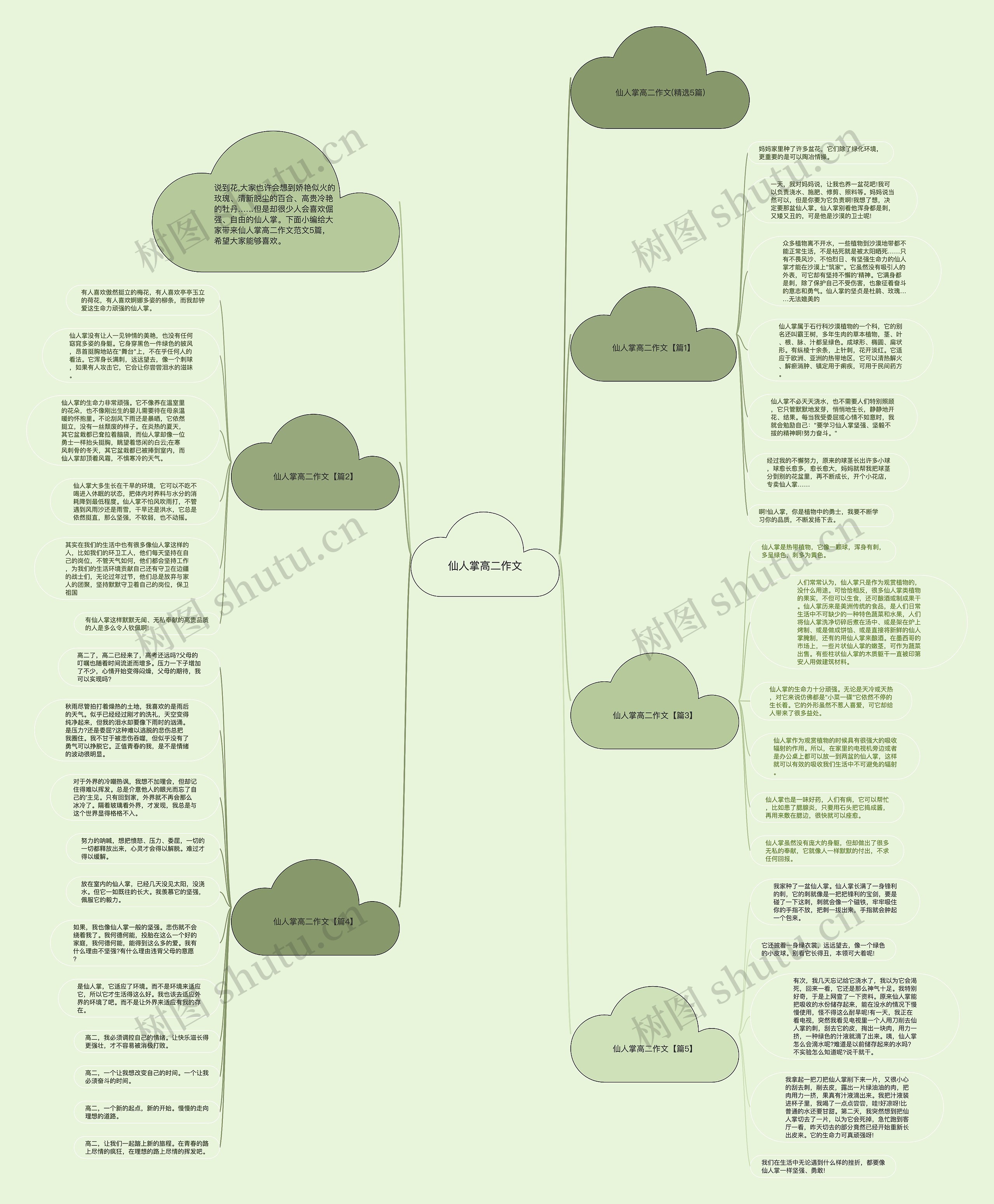 仙人掌高二作文思维导图高清图 仙人掌高二作文思维导图