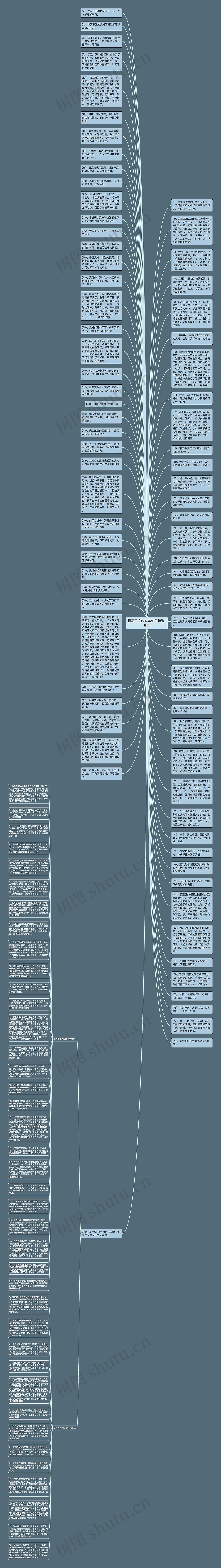 描写贝壳的唯美句子精选18句思维导图