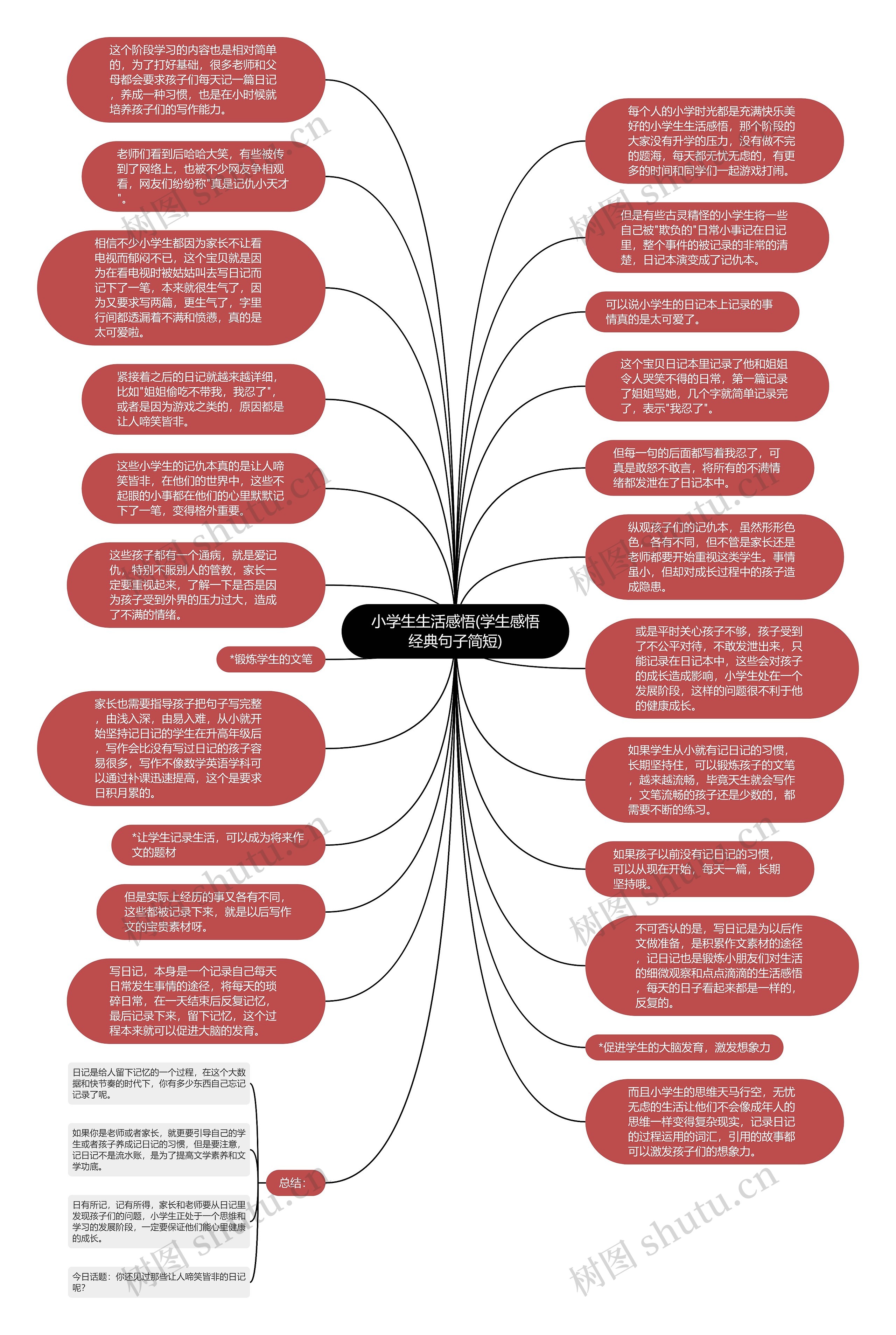 小学生生活感悟(学生感悟经典句子简短)思维导图