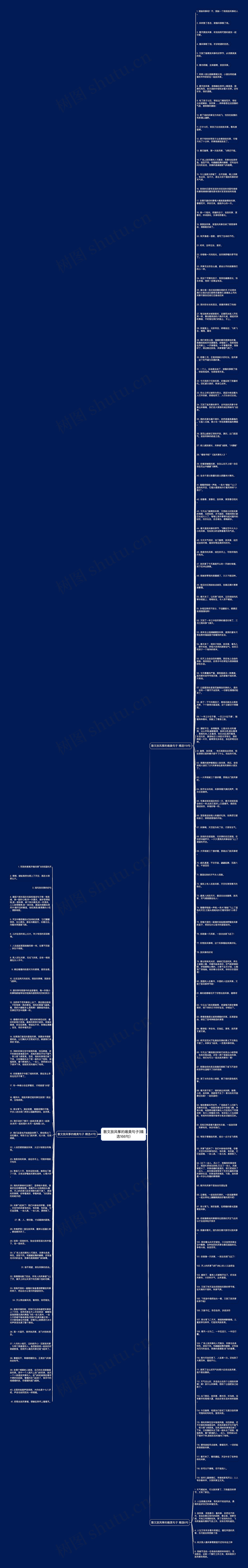 散文放风筝的唯美句子(精选166句)思维导图