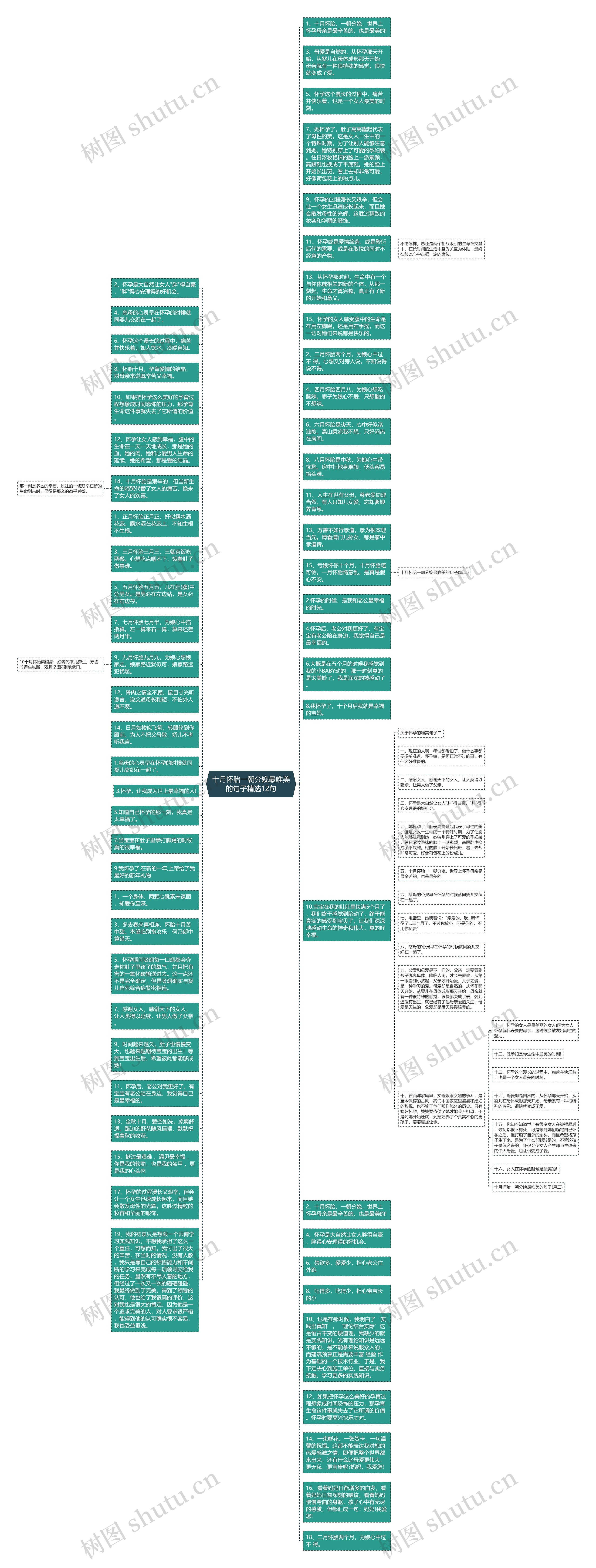十月怀胎一朝分娩最唯美的句子精选12句思维导图