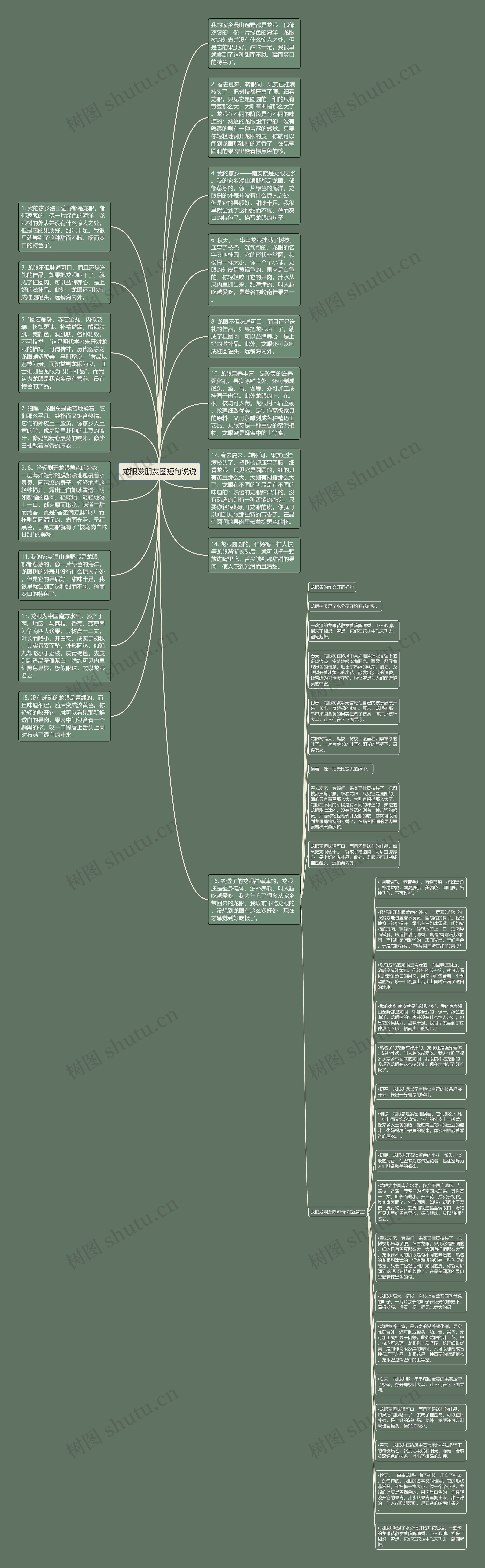 龙眼发朋友圈短句说说思维导图