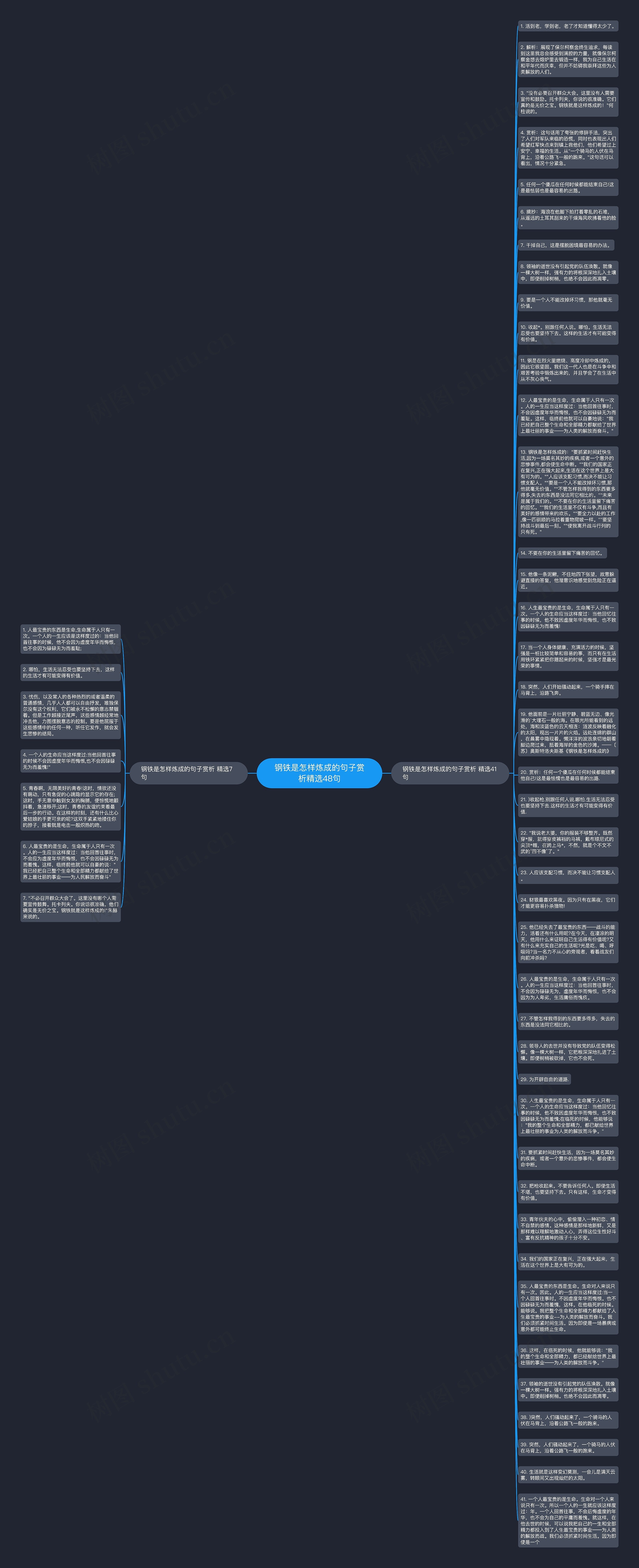 钢铁是怎样炼成的句子赏析精选48句思维导图