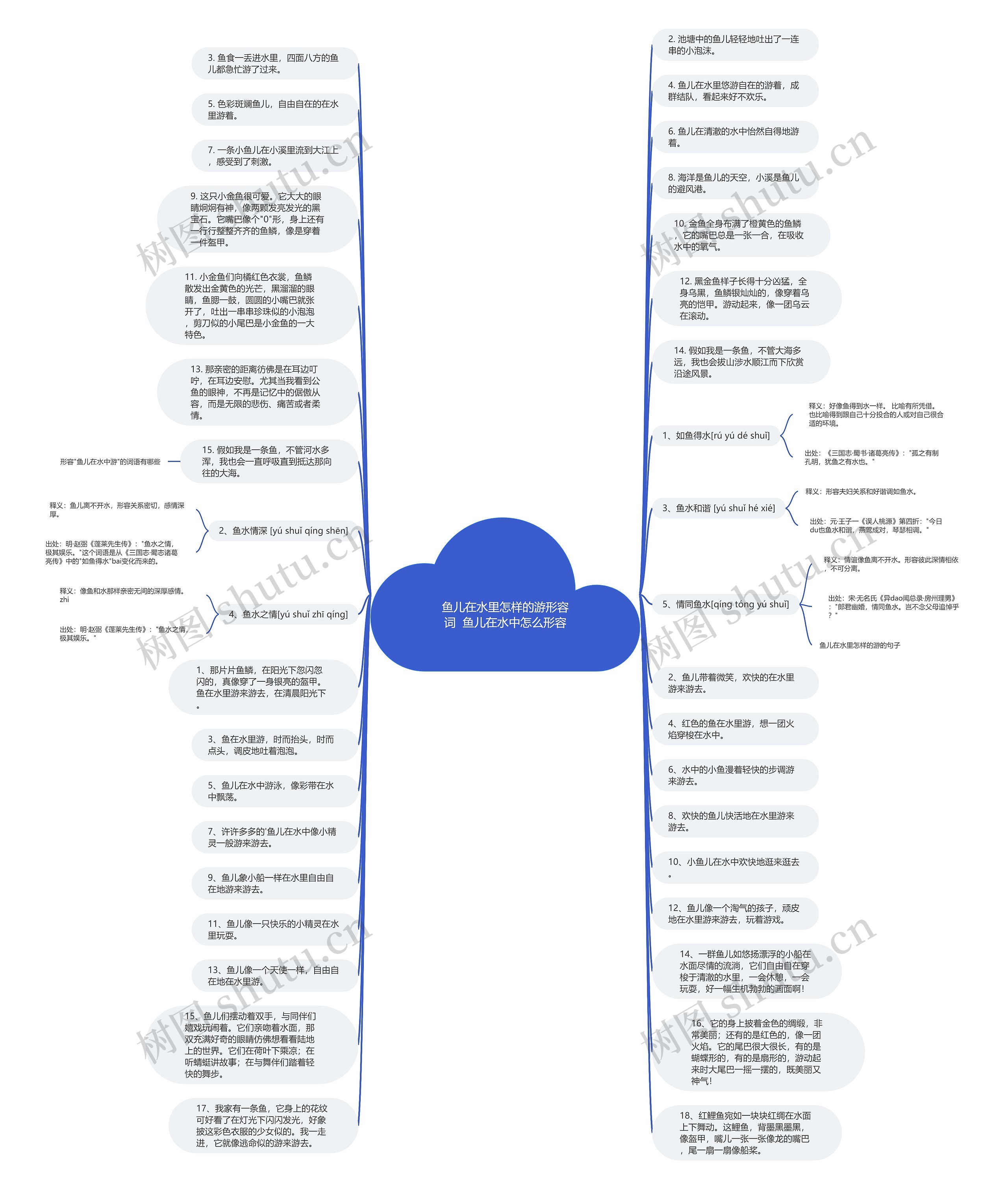 鱼儿在水里怎样的游形容词  鱼儿在水中怎么形容思维导图