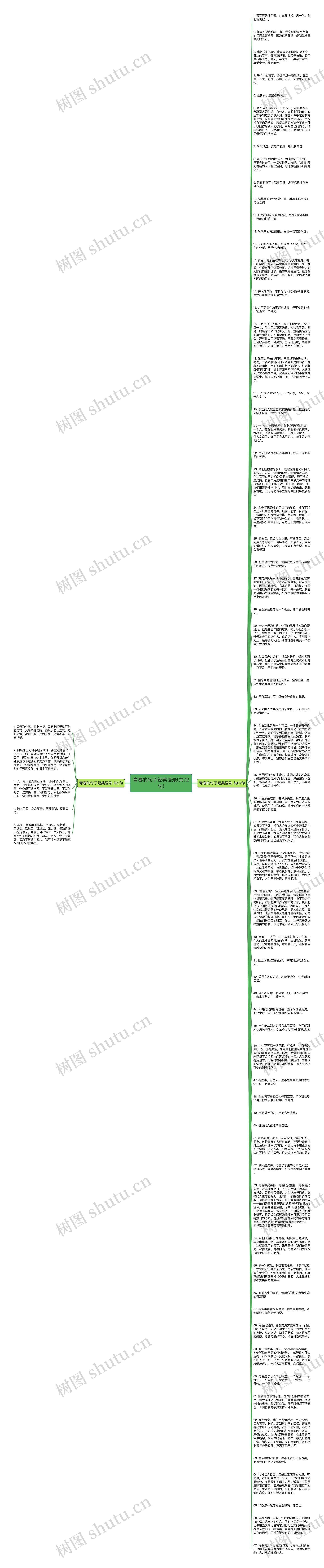 青春的句子经典语录(共72句)思维导图