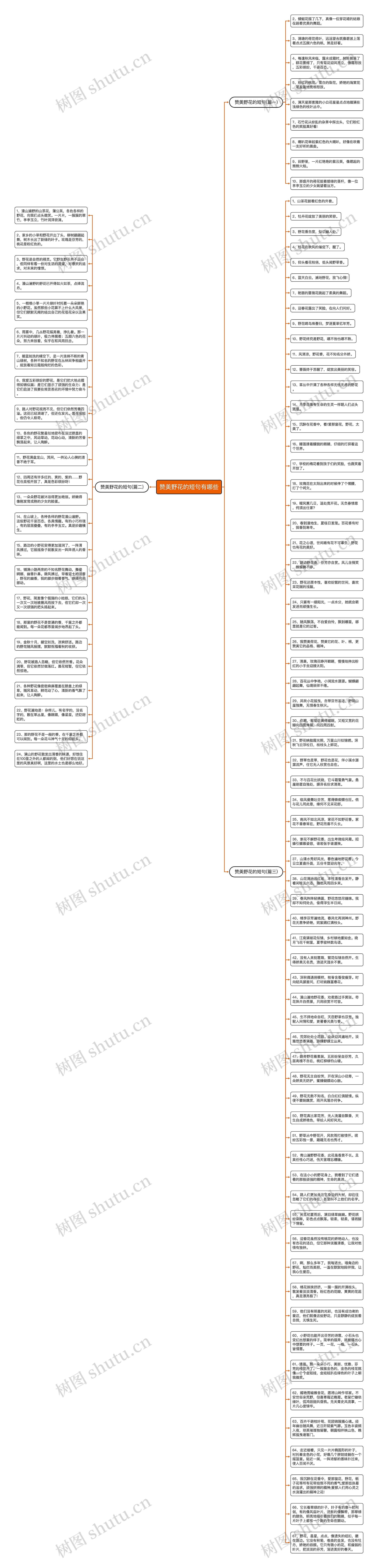 赞美野花的短句有哪些思维导图