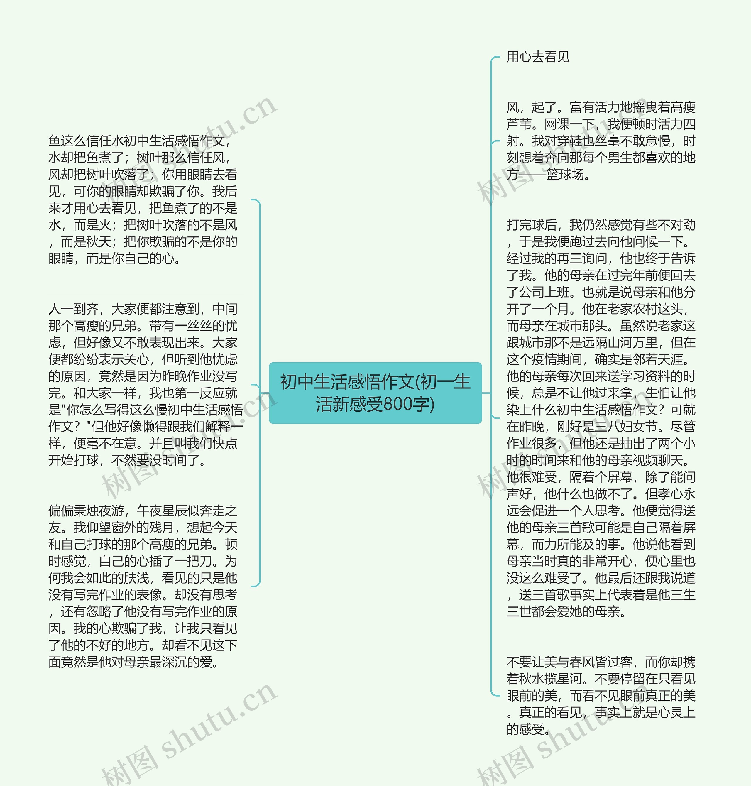 初中生活感悟作文(初一生活新感受800字)思维导图