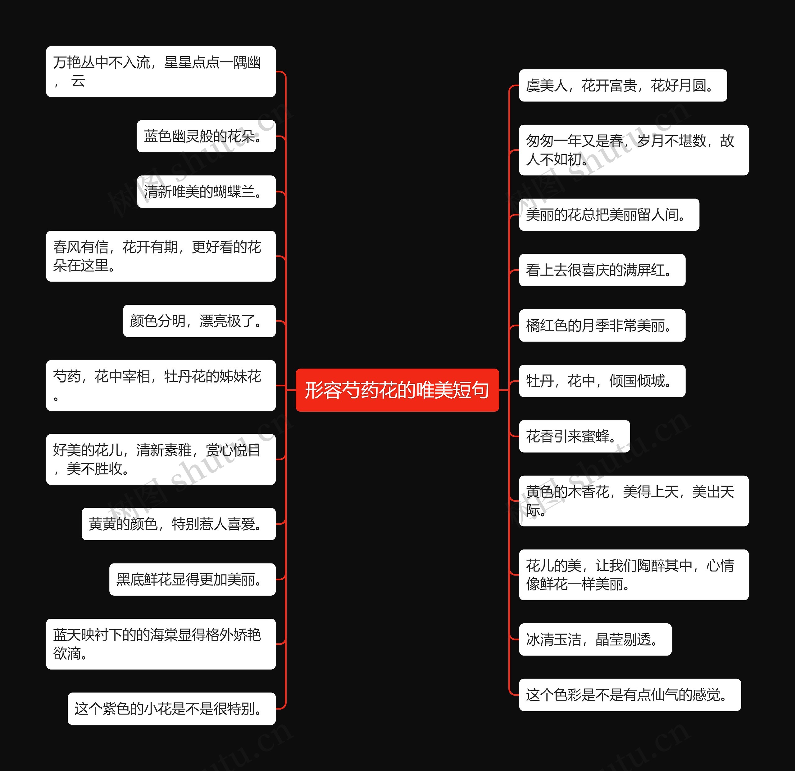 形容芍药花的唯美短句 形容芍药花的唯美短句