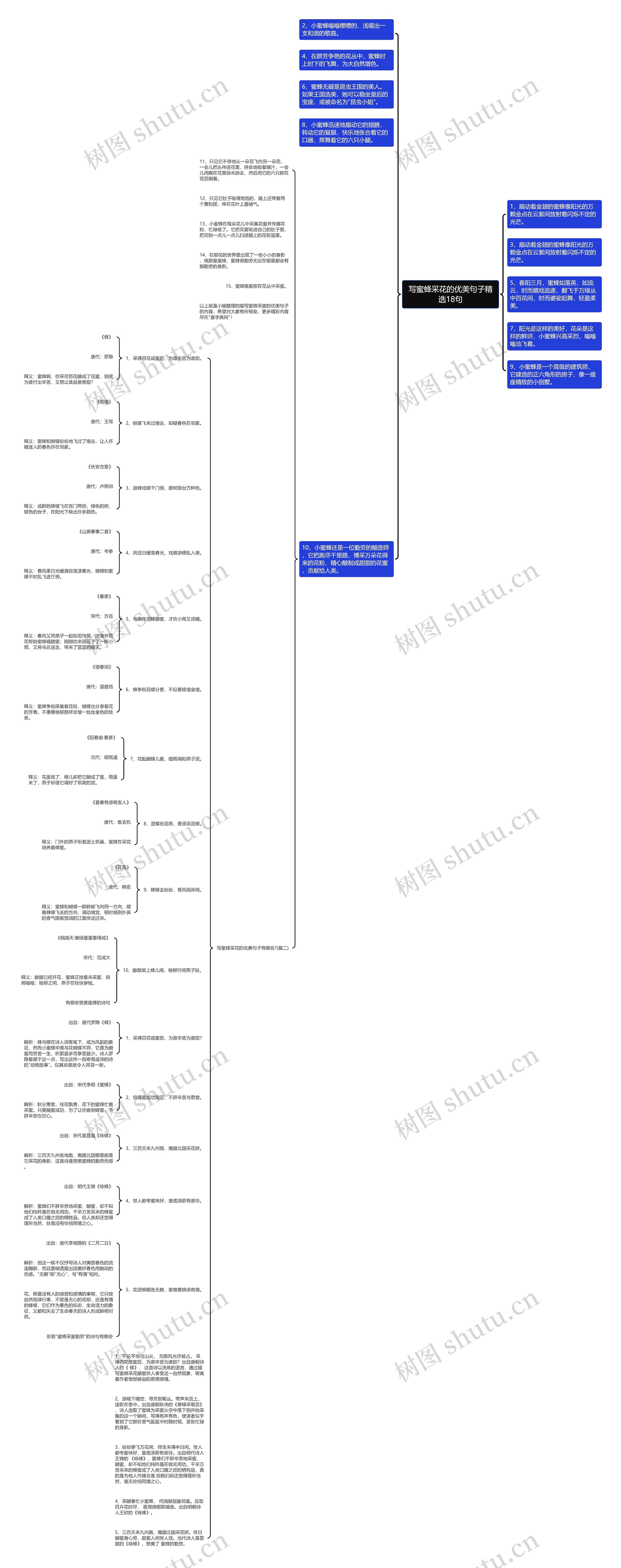 写蜜蜂采花的优美句子精选18句思维导图