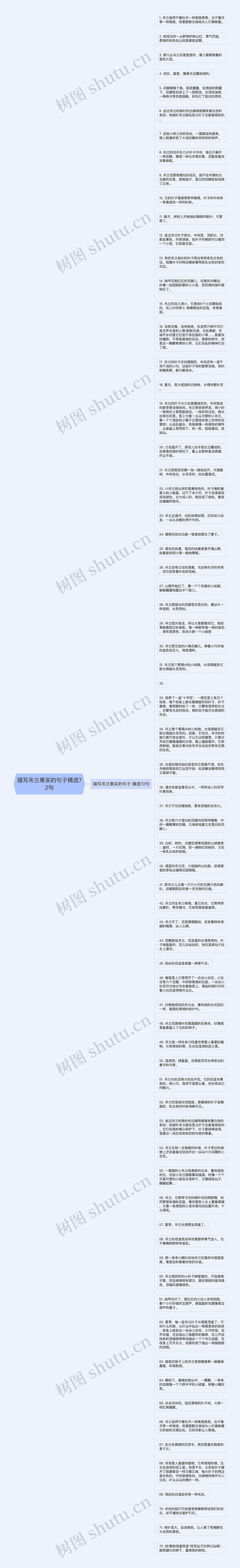 描写吊兰果实的句子精选72句思维导图