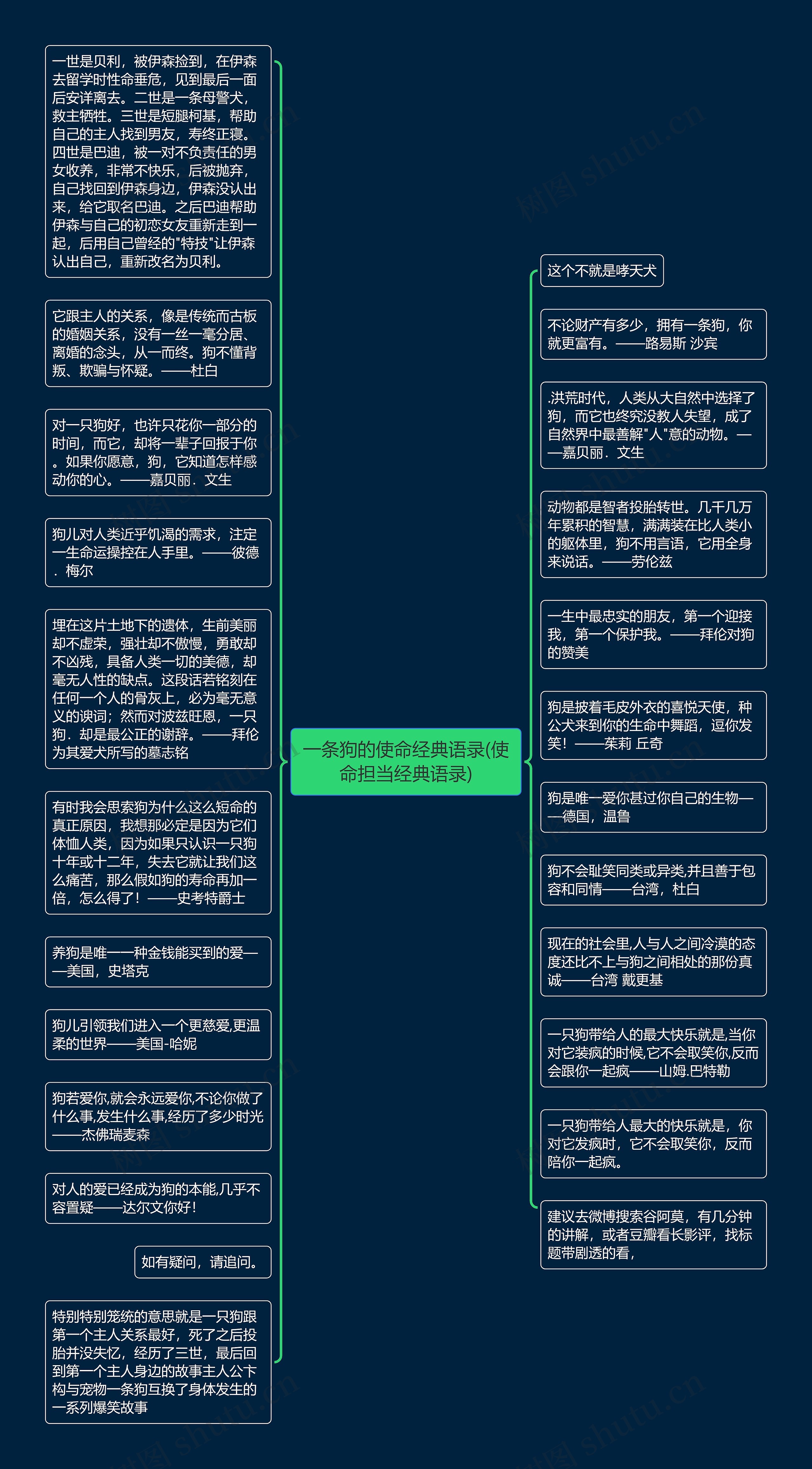 一条狗的使命经典语录(使命担当经典语录)思维导图