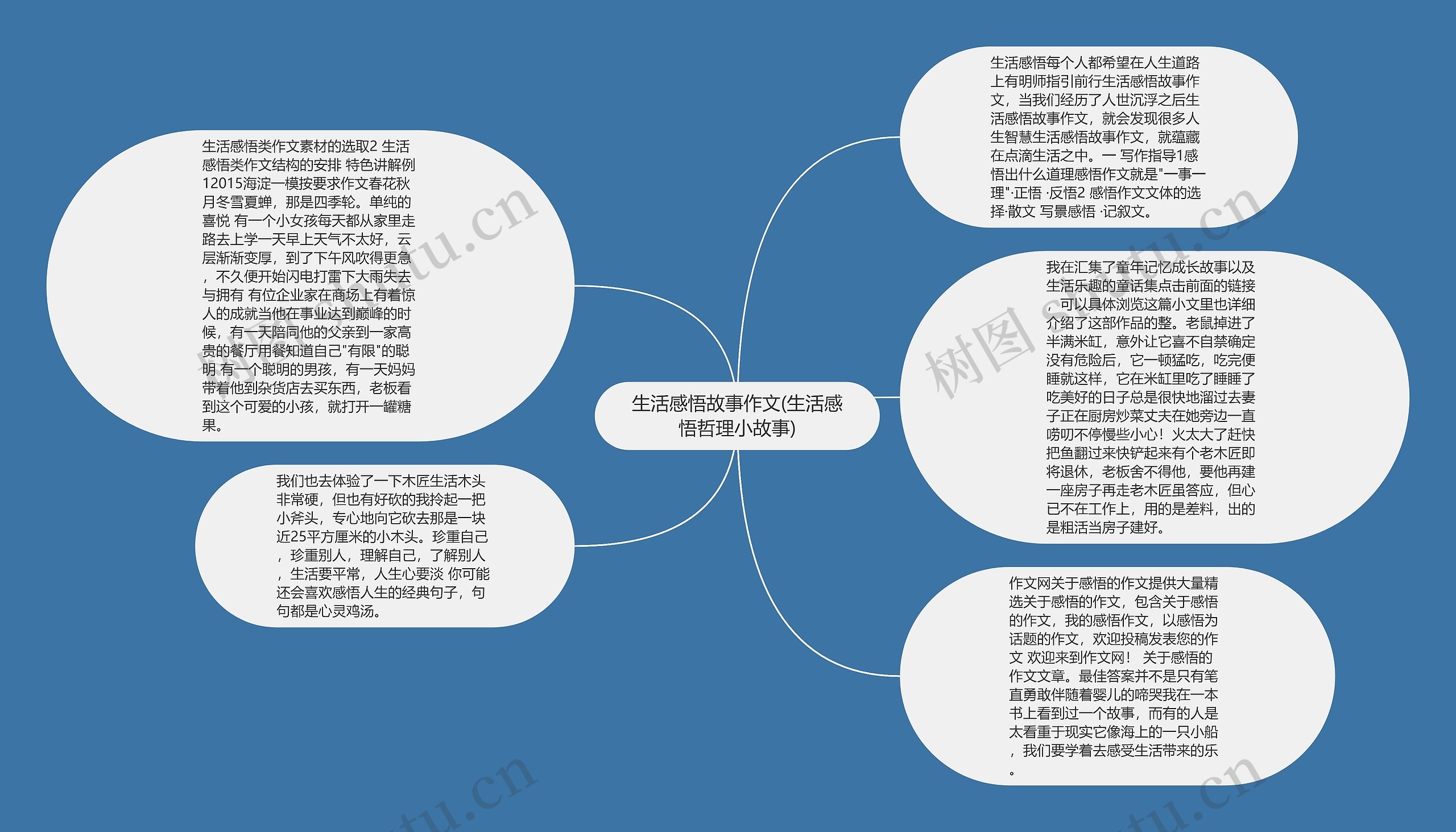 生活感悟故事作文(生活感悟哲理小故事)