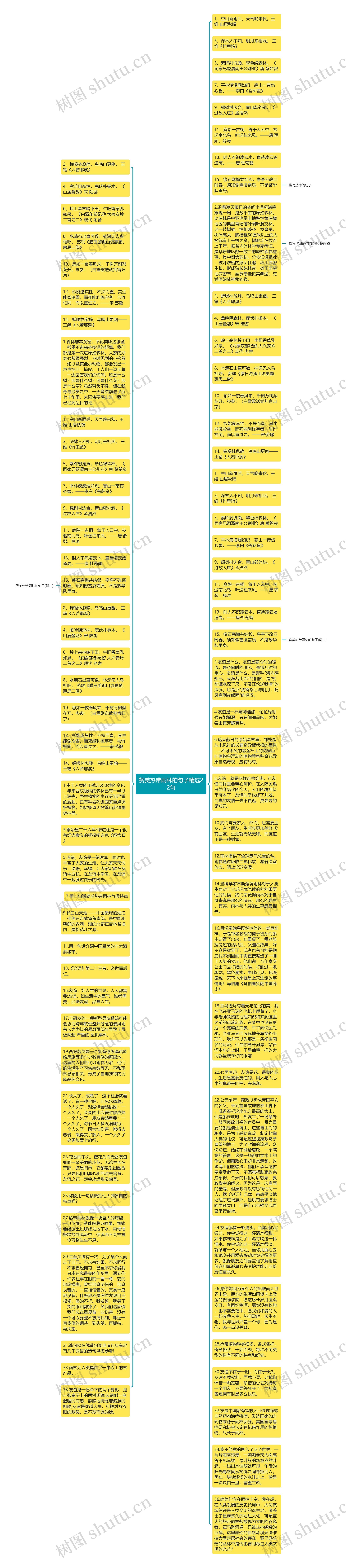 赞美热带雨林的句子精选22句思维导图