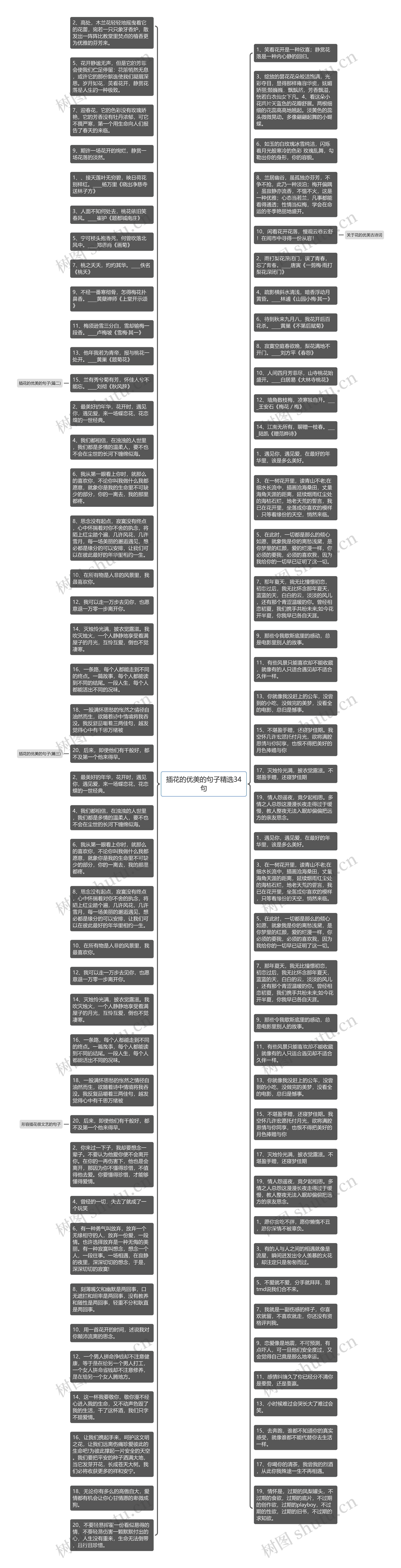 插花的优美的句子精选34句思维导图