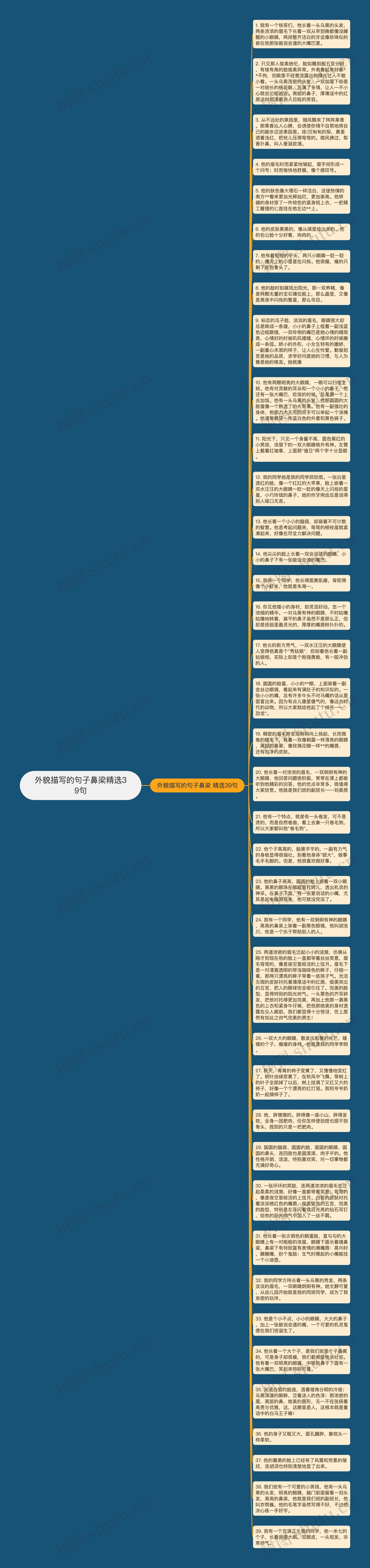 外貌描写的句子鼻梁精选39句思维导图