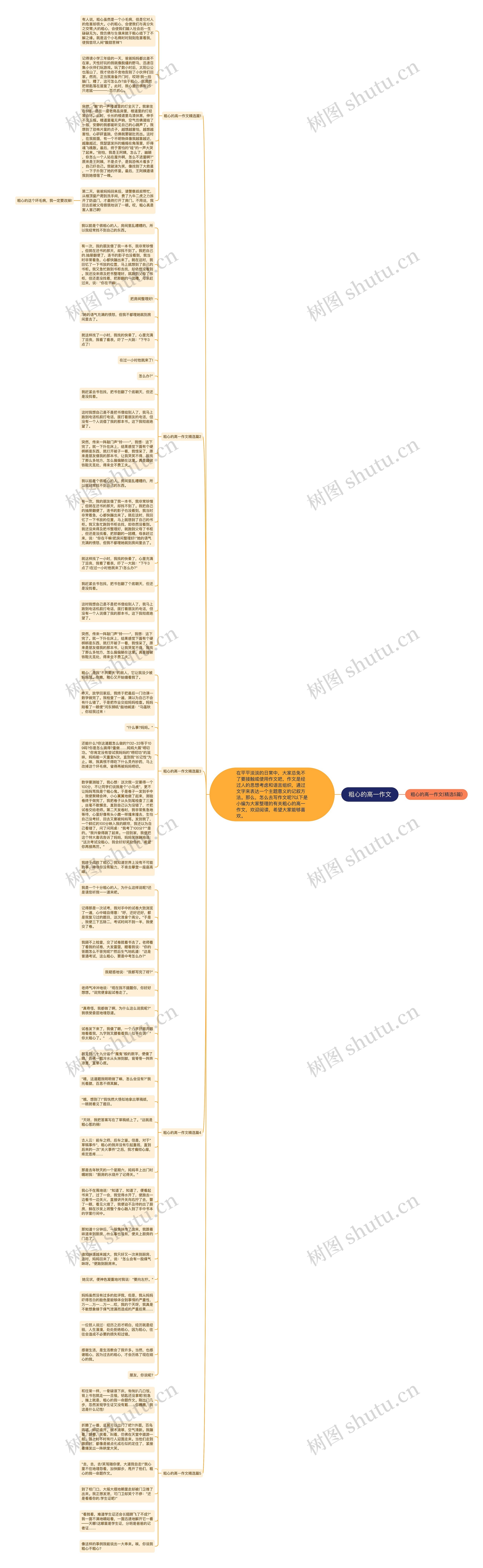 粗心的高一作文思维导图
