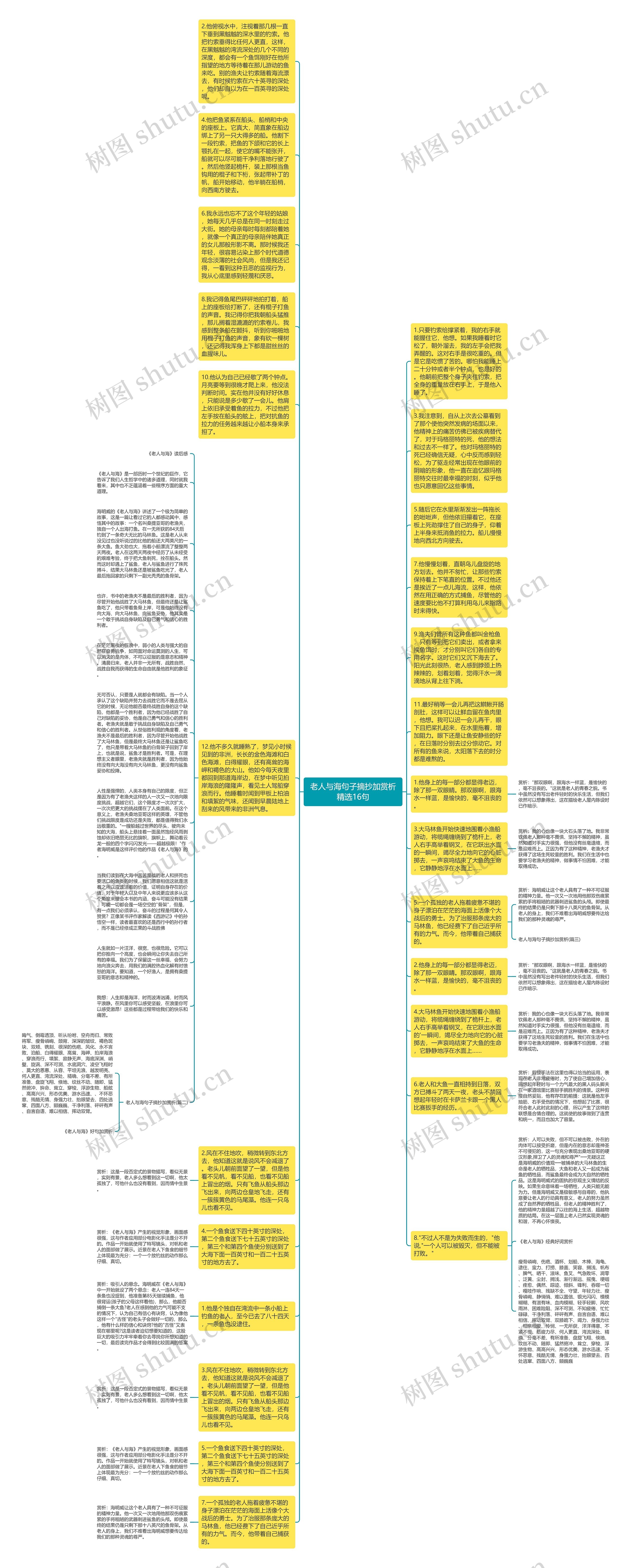 老人与海句子摘抄加赏析精选16句思维导图