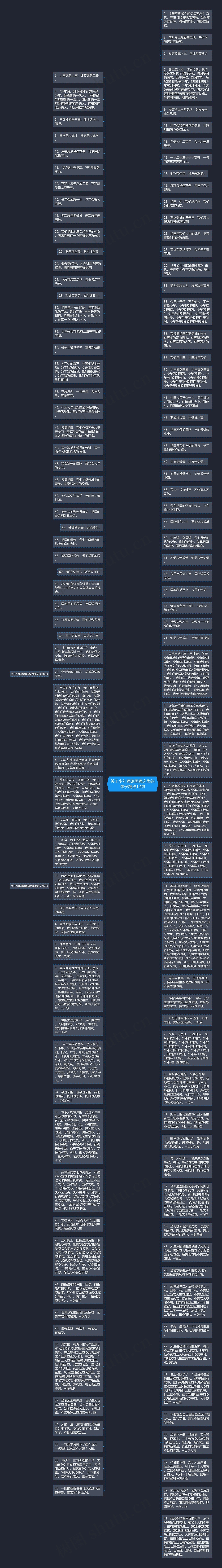 关于少年强则国强之类的句子精选12句思维导图