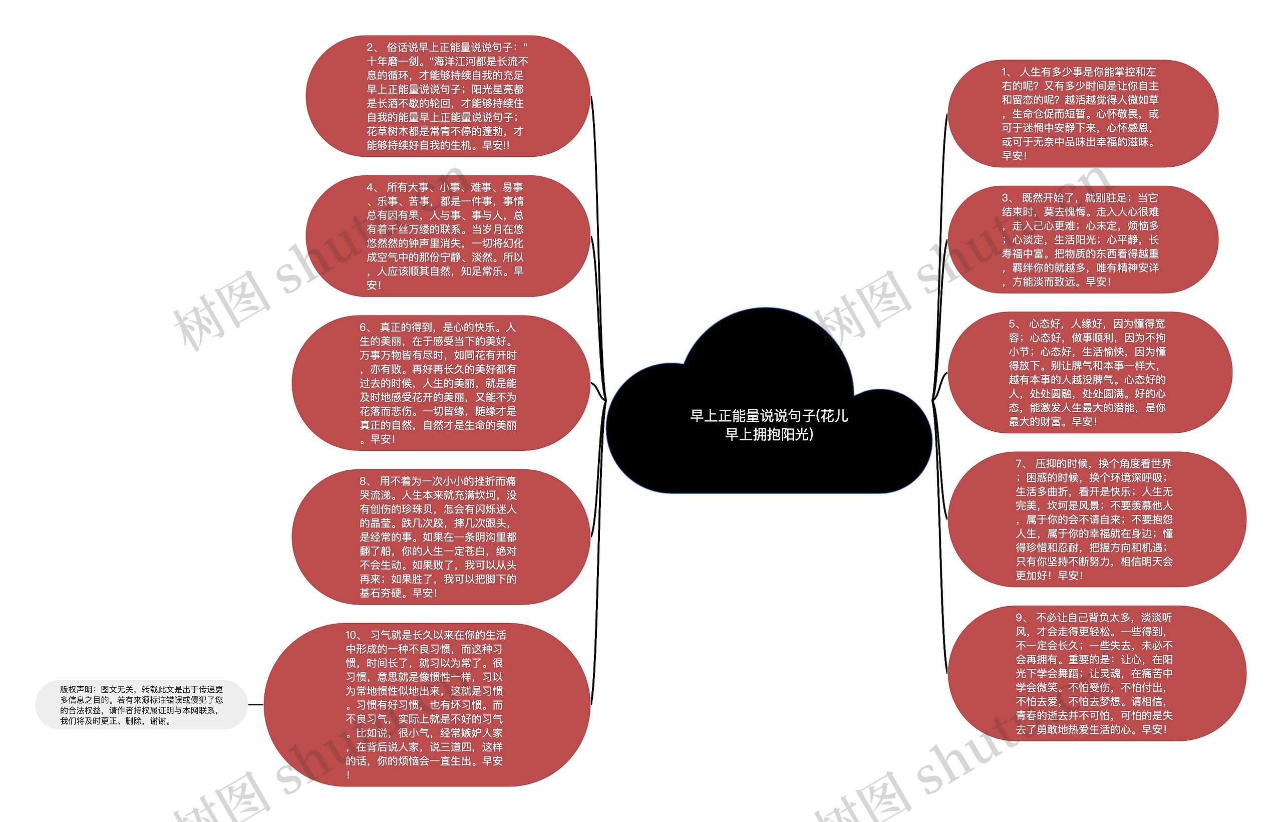 早上正能量说说句子(花儿早上拥抱阳光)思维导图