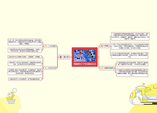 细胞的分子组成知识点
