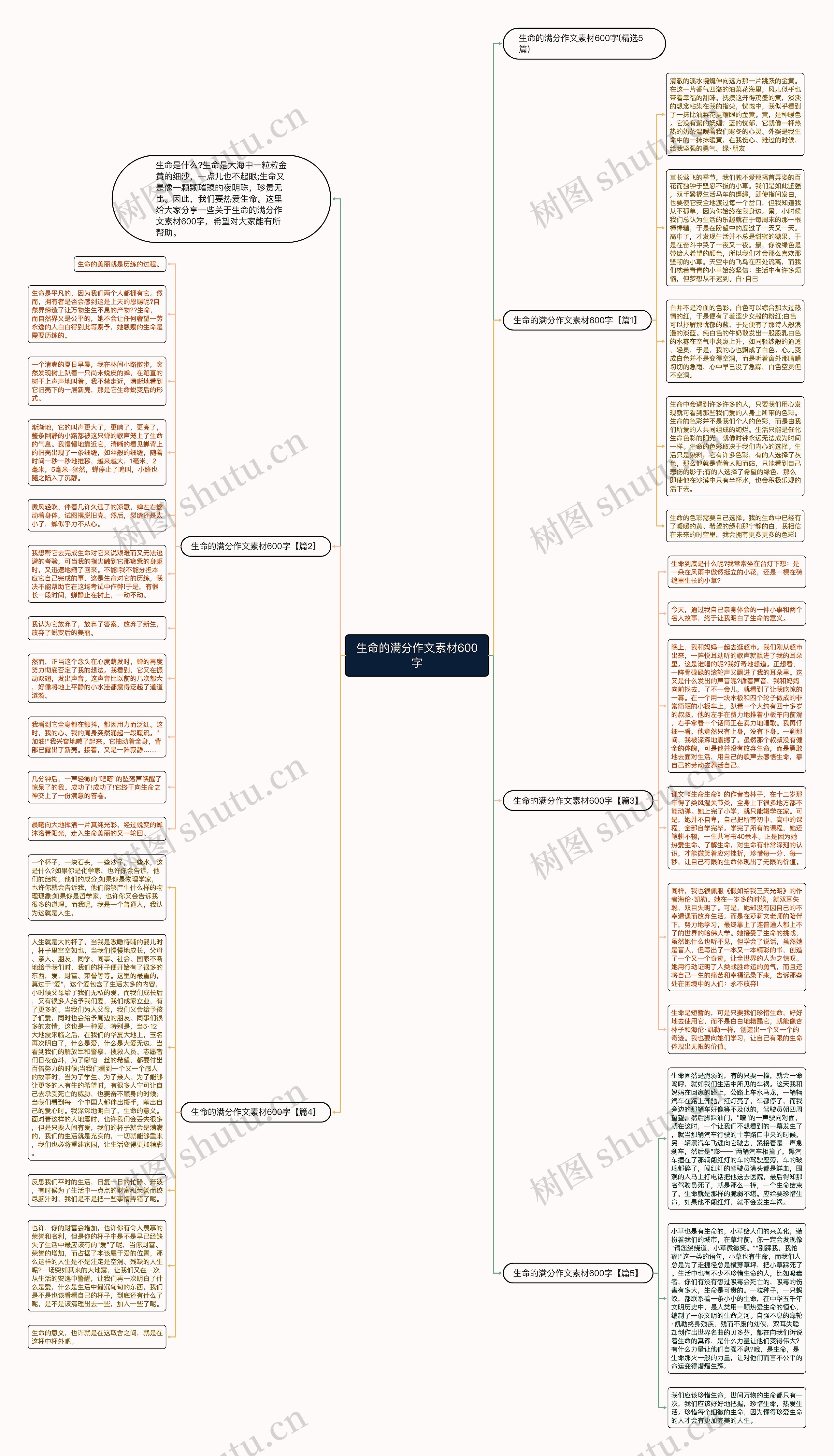生命的满分作文素材600字思维导图