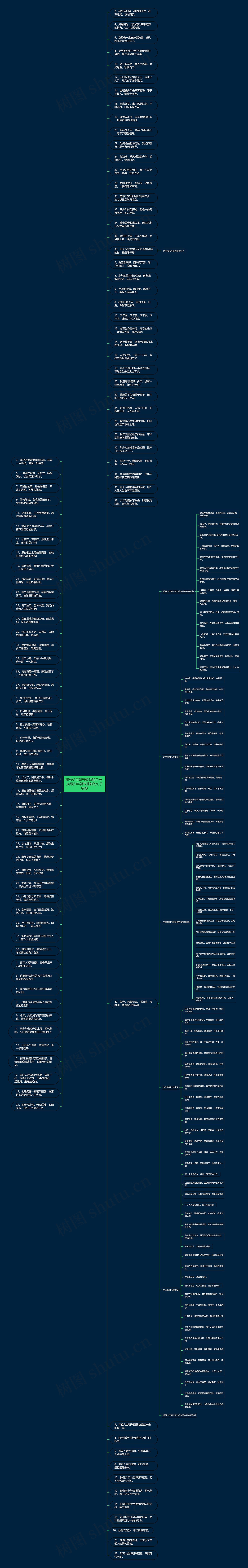 描写少年朝气蓬勃的句子  描写少年朝气蓬勃的句子摘抄思维导图