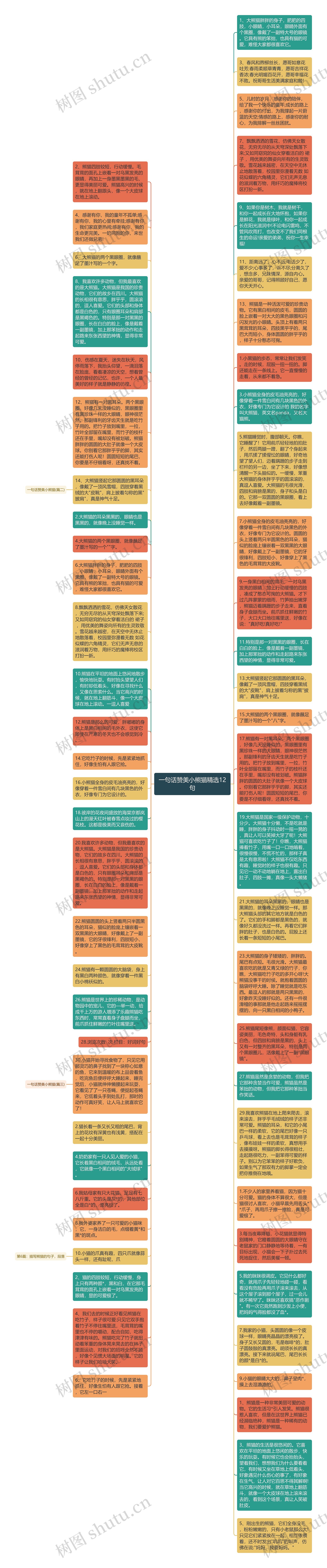 一句话赞美小熊猫精选12句思维导图