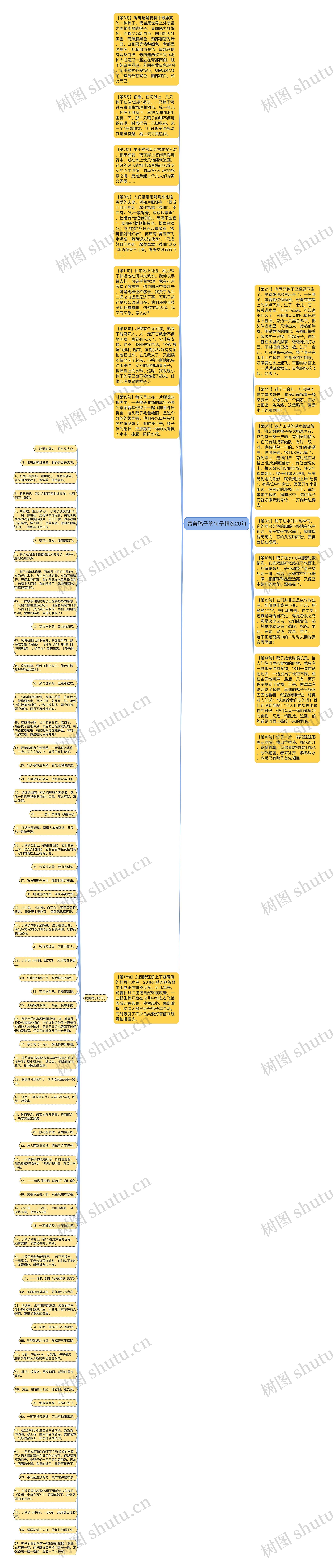 赞美鸭子的句子精选20句思维导图