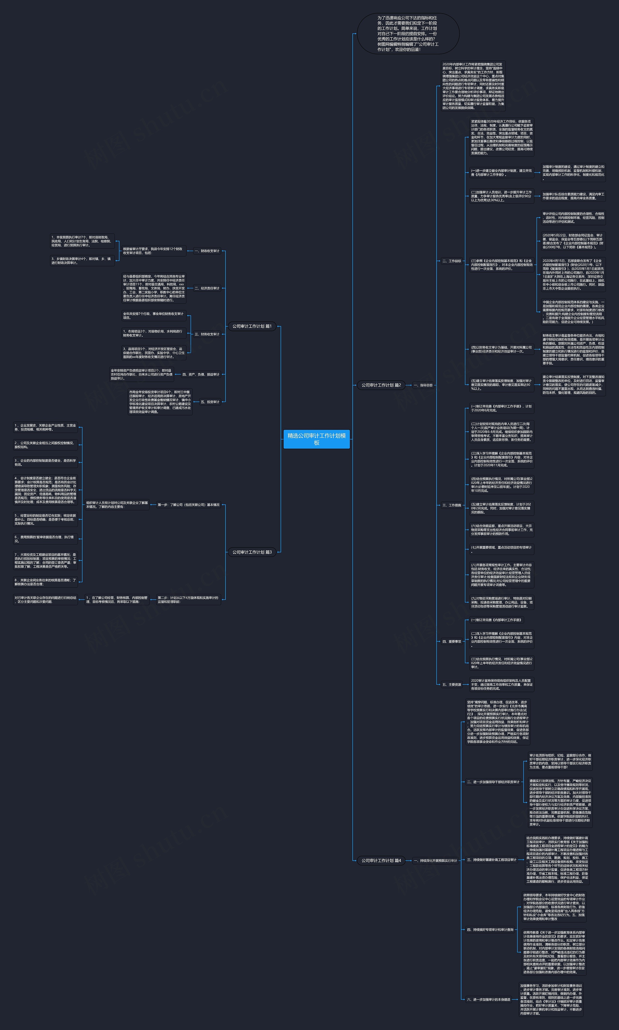 精选公司审计工作计划思维导图