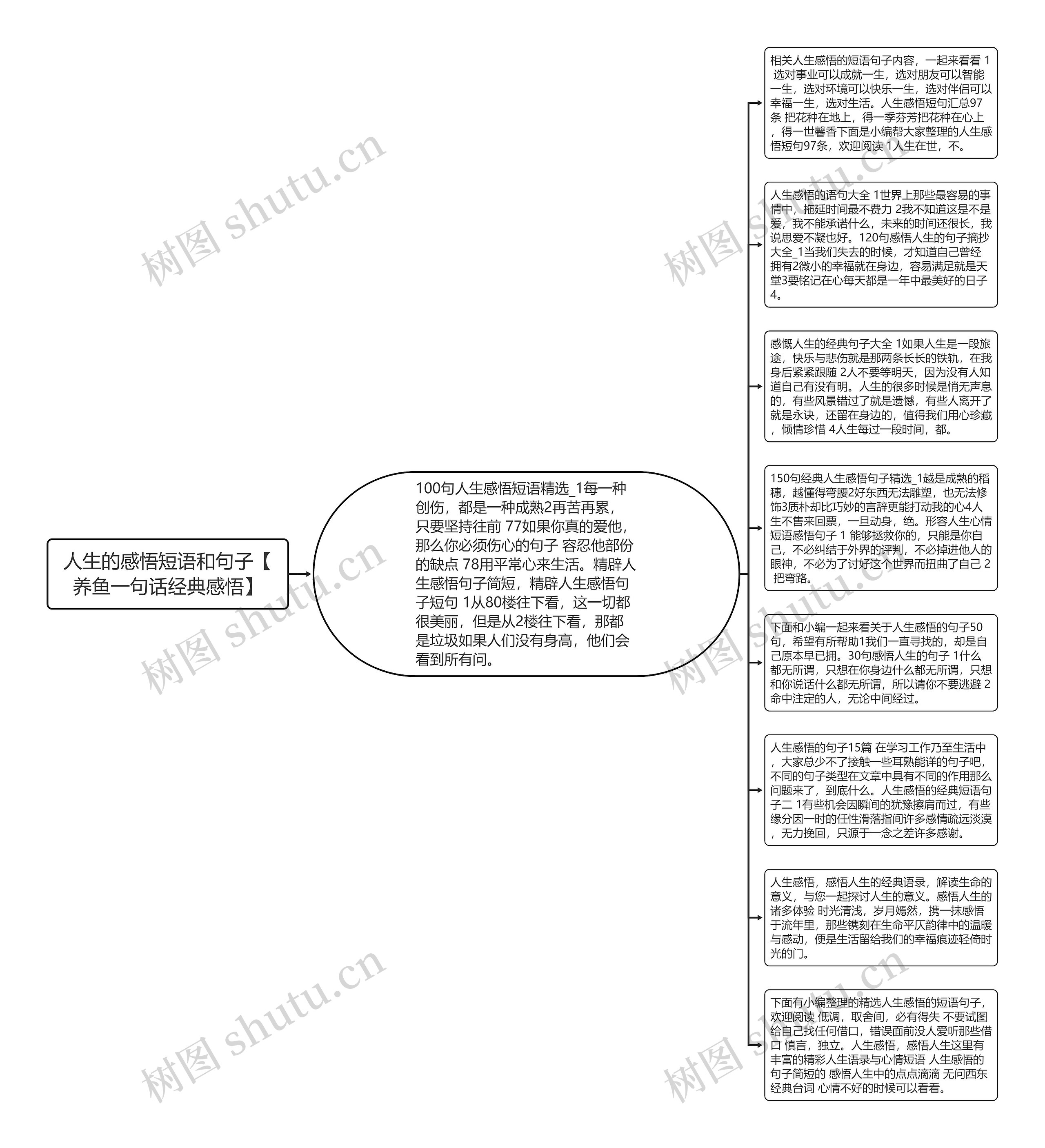 人生的感悟短语和句子【养鱼一句话经典感悟】