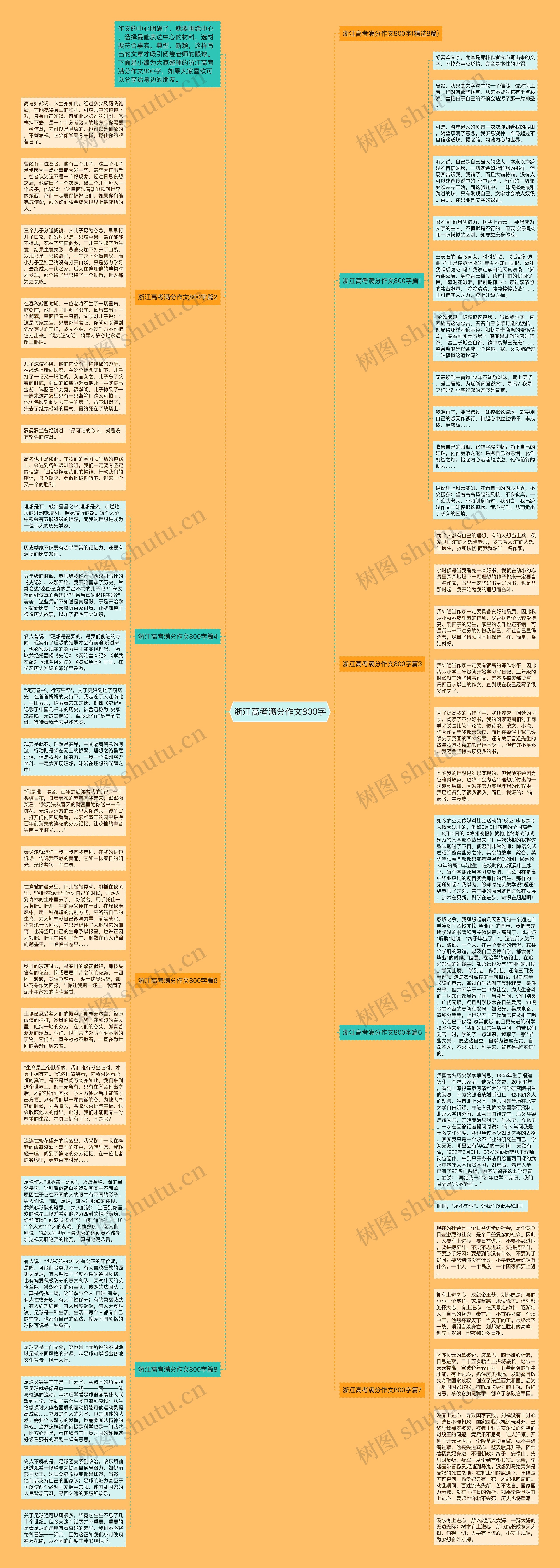 浙江高考满分作文800字思维导图